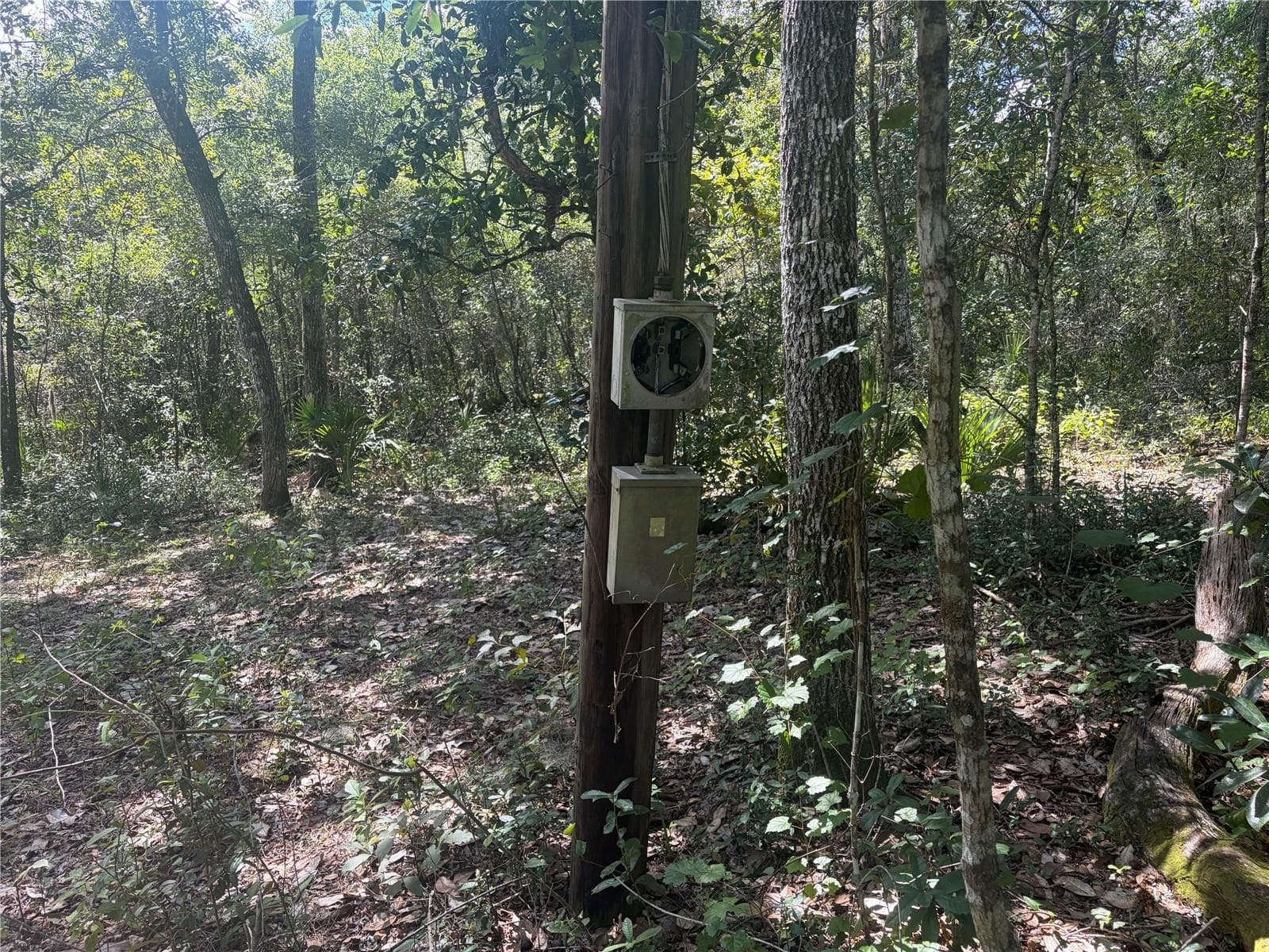 Land at 0 NE 37TH ST, SILVER SPRINGS, photo 9 of 11