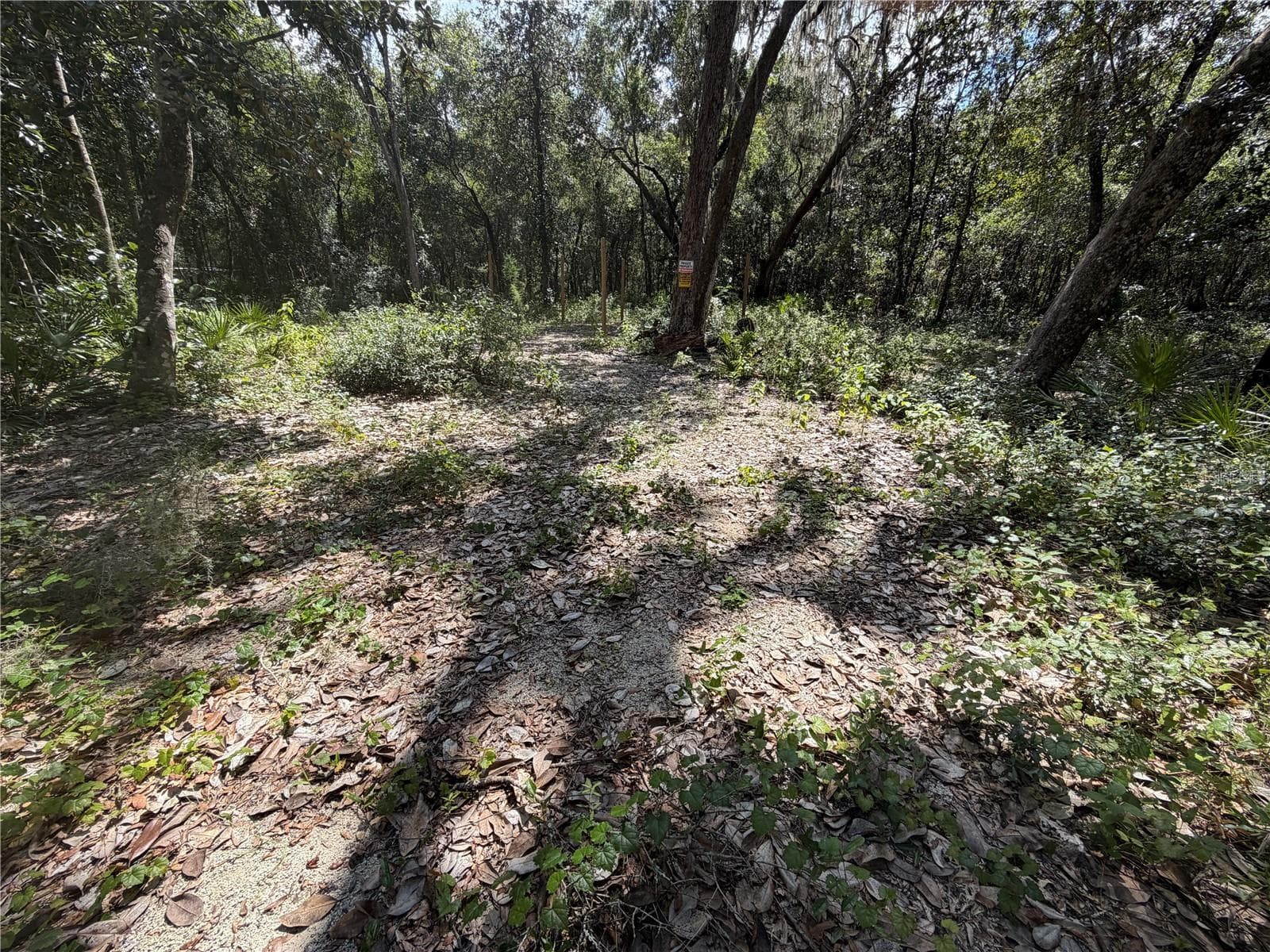 Land at 0 NE 37TH ST, SILVER SPRINGS, photo 4 of 11