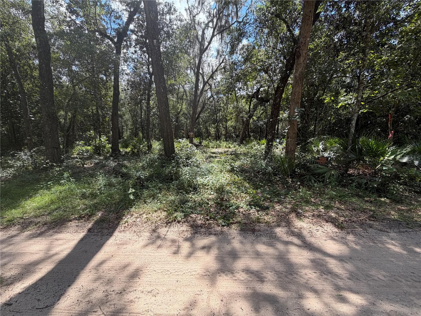 Land at 0 NE 37TH ST, SILVER SPRINGS, photo 2 of 11