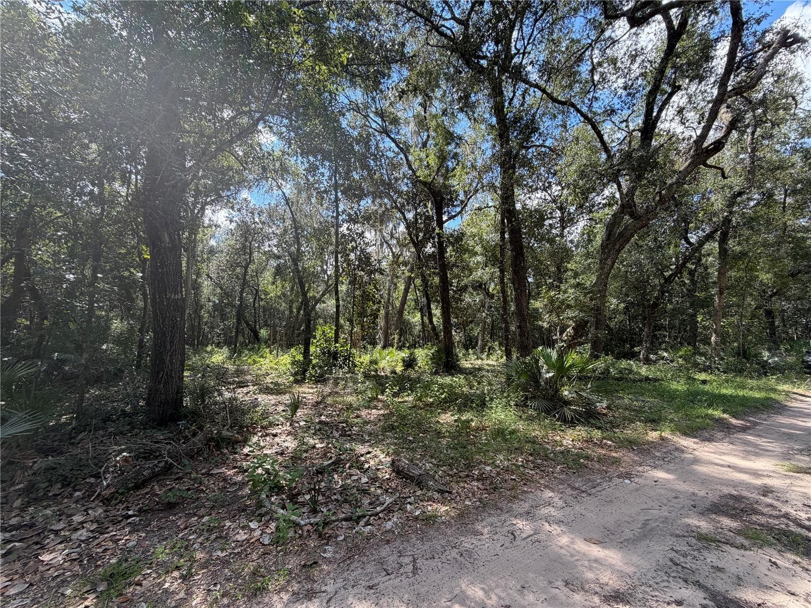 Land at 0 NE 37TH ST, SILVER SPRINGS, photo 3 of 11