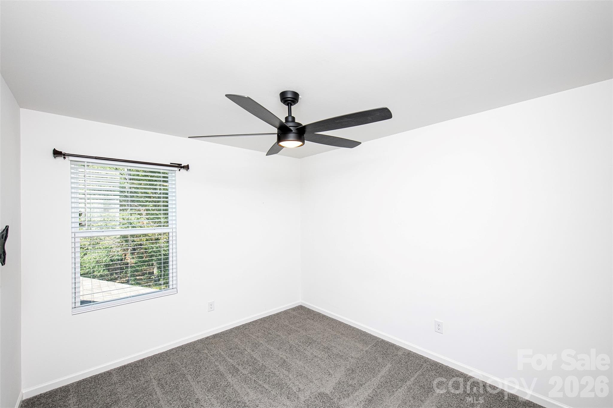 Bedroom 1 - 105 Charleston Gray Way, Pageland