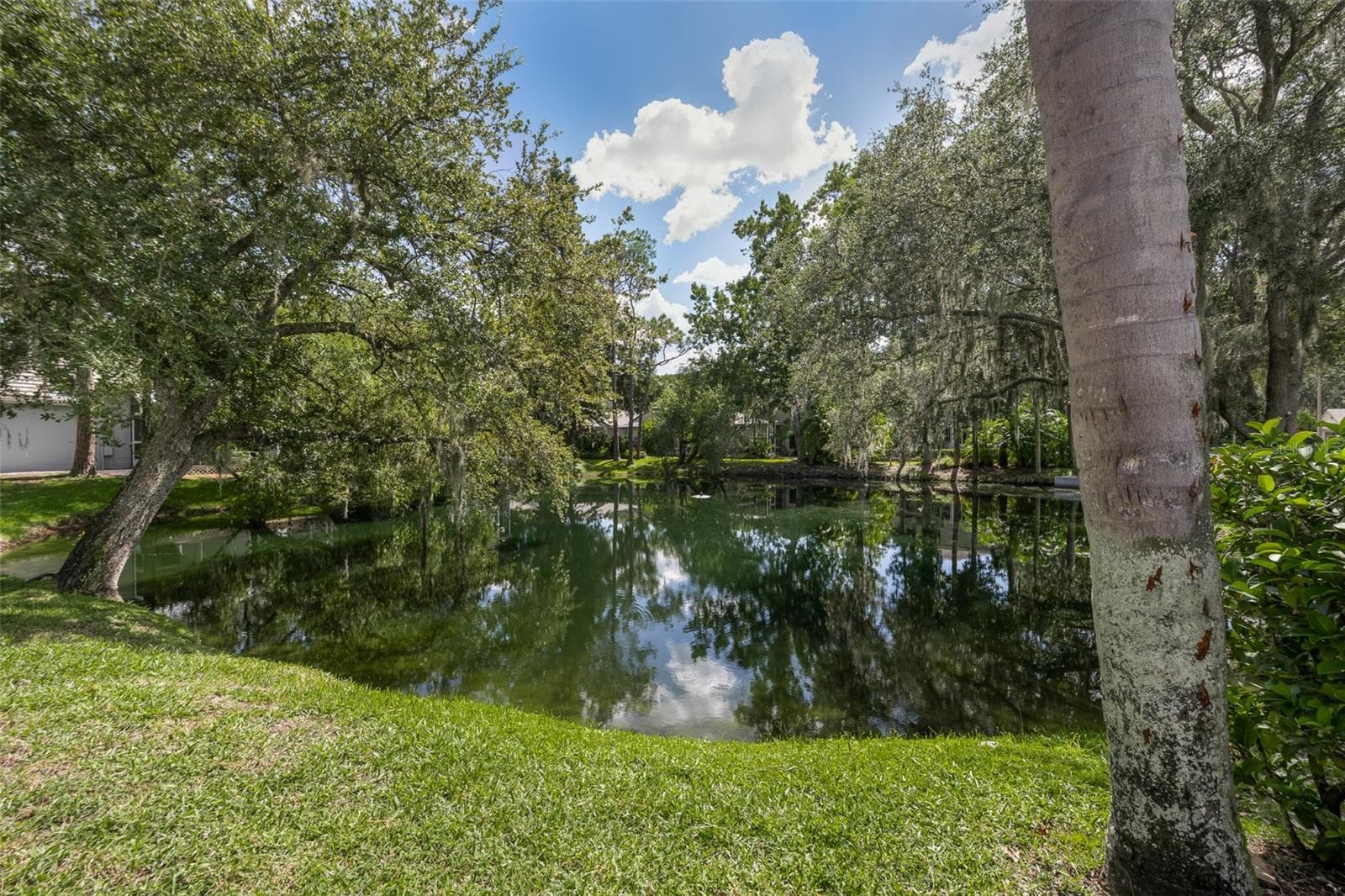 Single Family Residence at 3559 SYLVAN EDGE DR, PALM HARBOR, photo 34 of 45