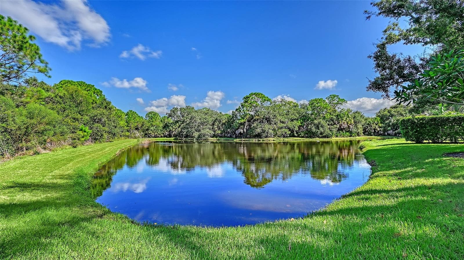 The Lake view. - 8866 BLOOMFIELD BLVD, SARASOTA
