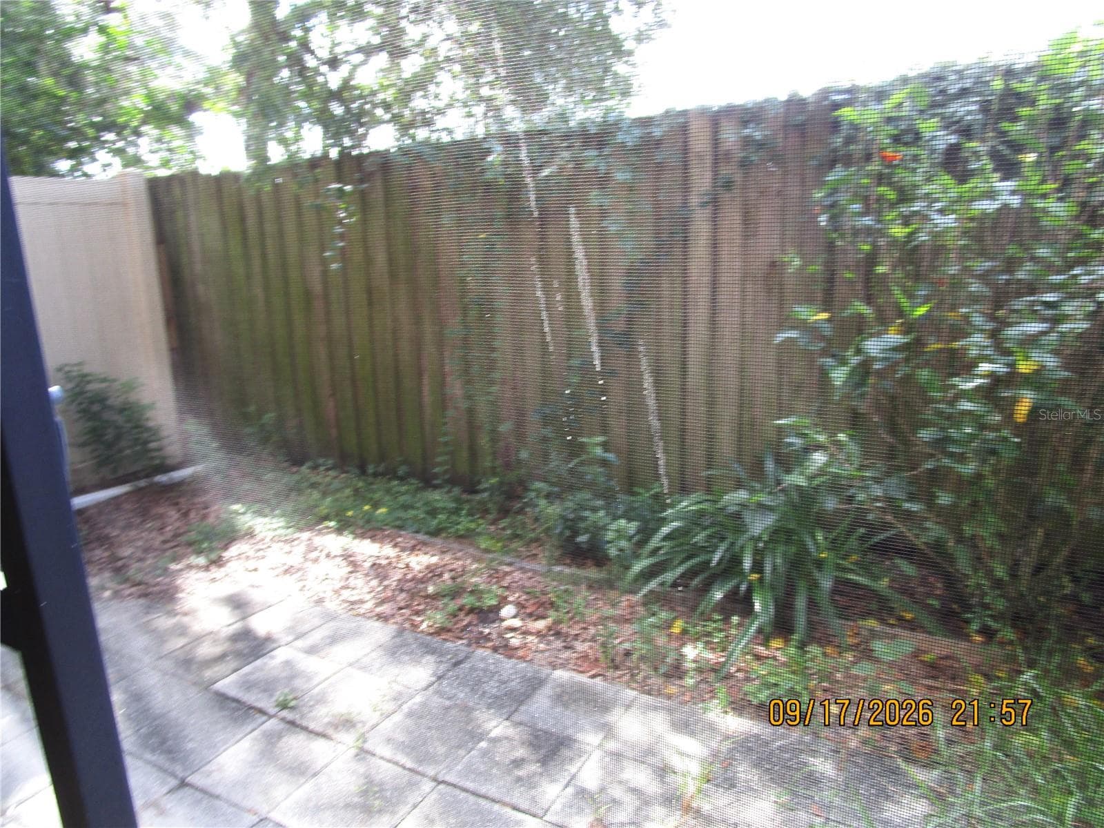 Backyard - 1508 HIGHLAND RIDGE CIR, BRANDON