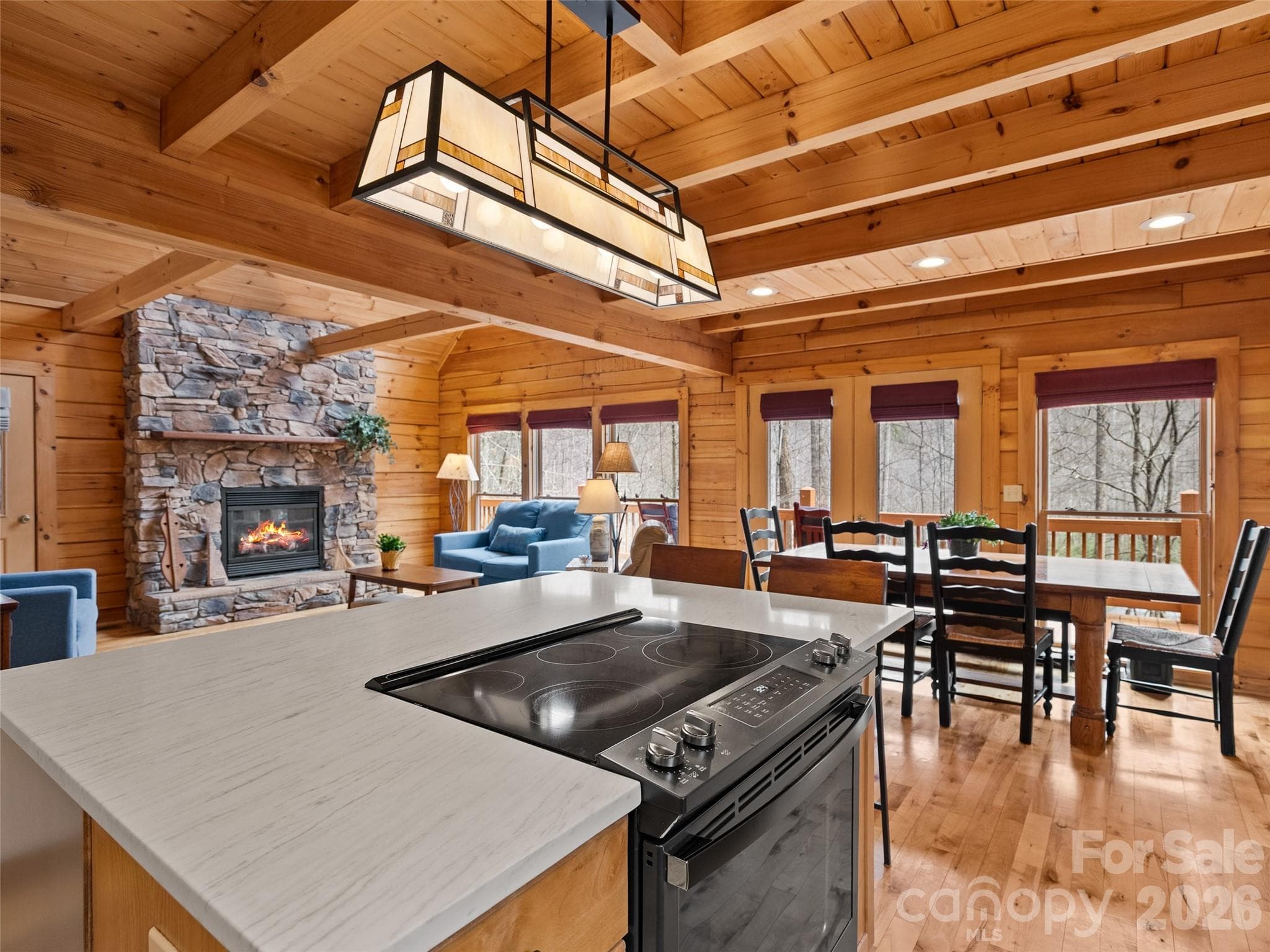 Room to entertain and dine - 133 Smokemont Drive, Arden