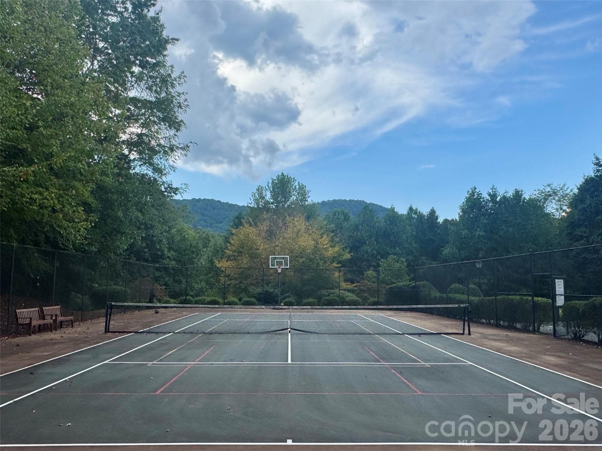The sport court:pickle ball, tennis and b-ball. - 133 Smokemont Drive, Arden
