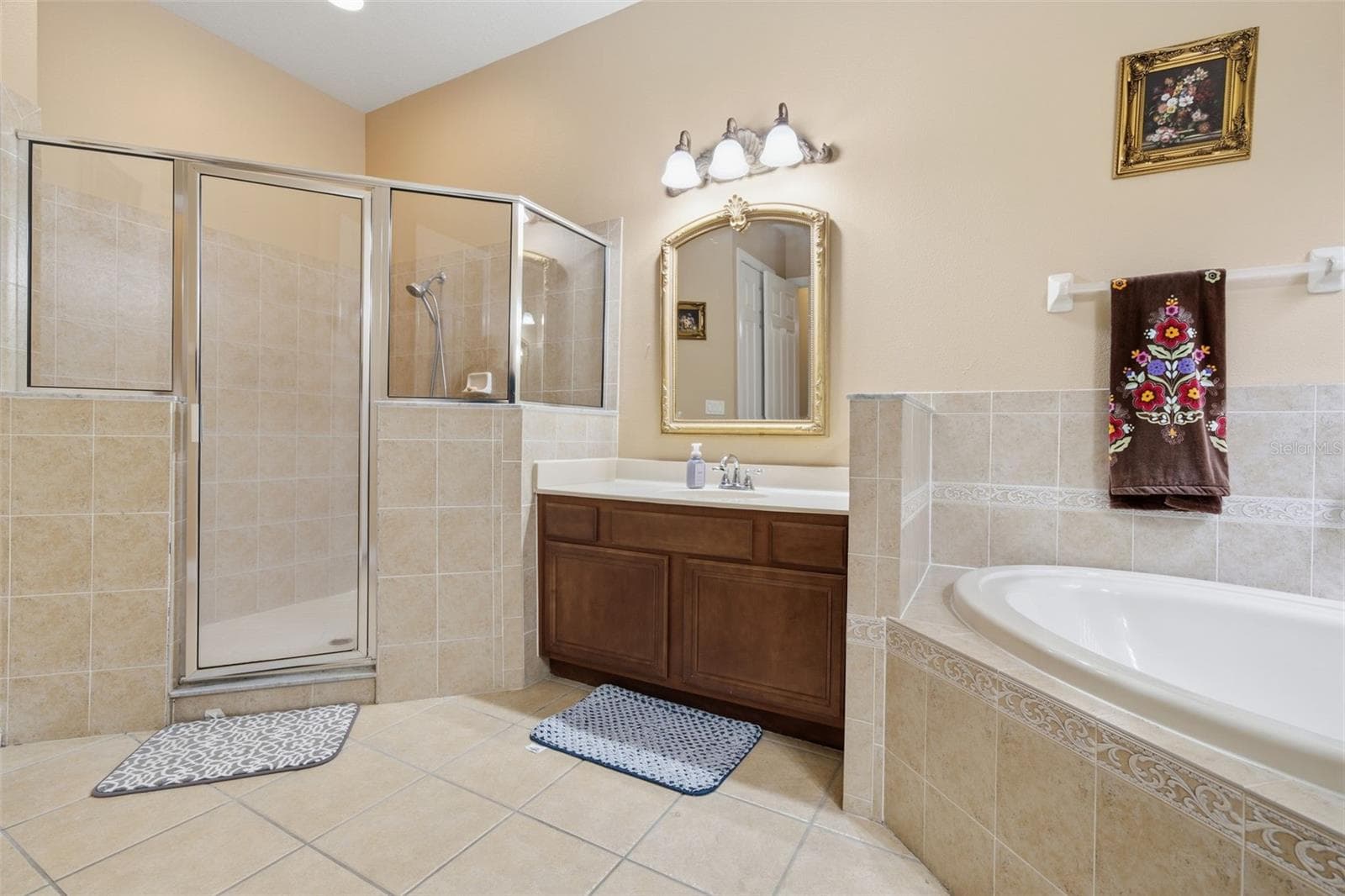 Single Family Residence at 18004 LANAI ISLE DR, TAMPA, photo 37 of 81