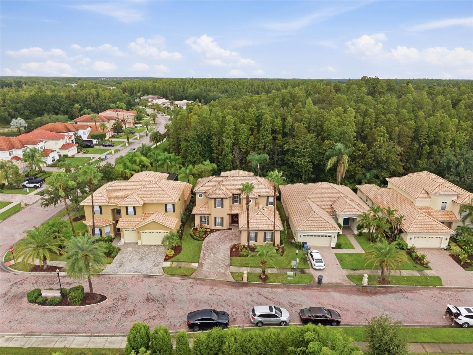 Single Family Residence at 18004 LANAI ISLE DR, TAMPA, photo 55 of 81