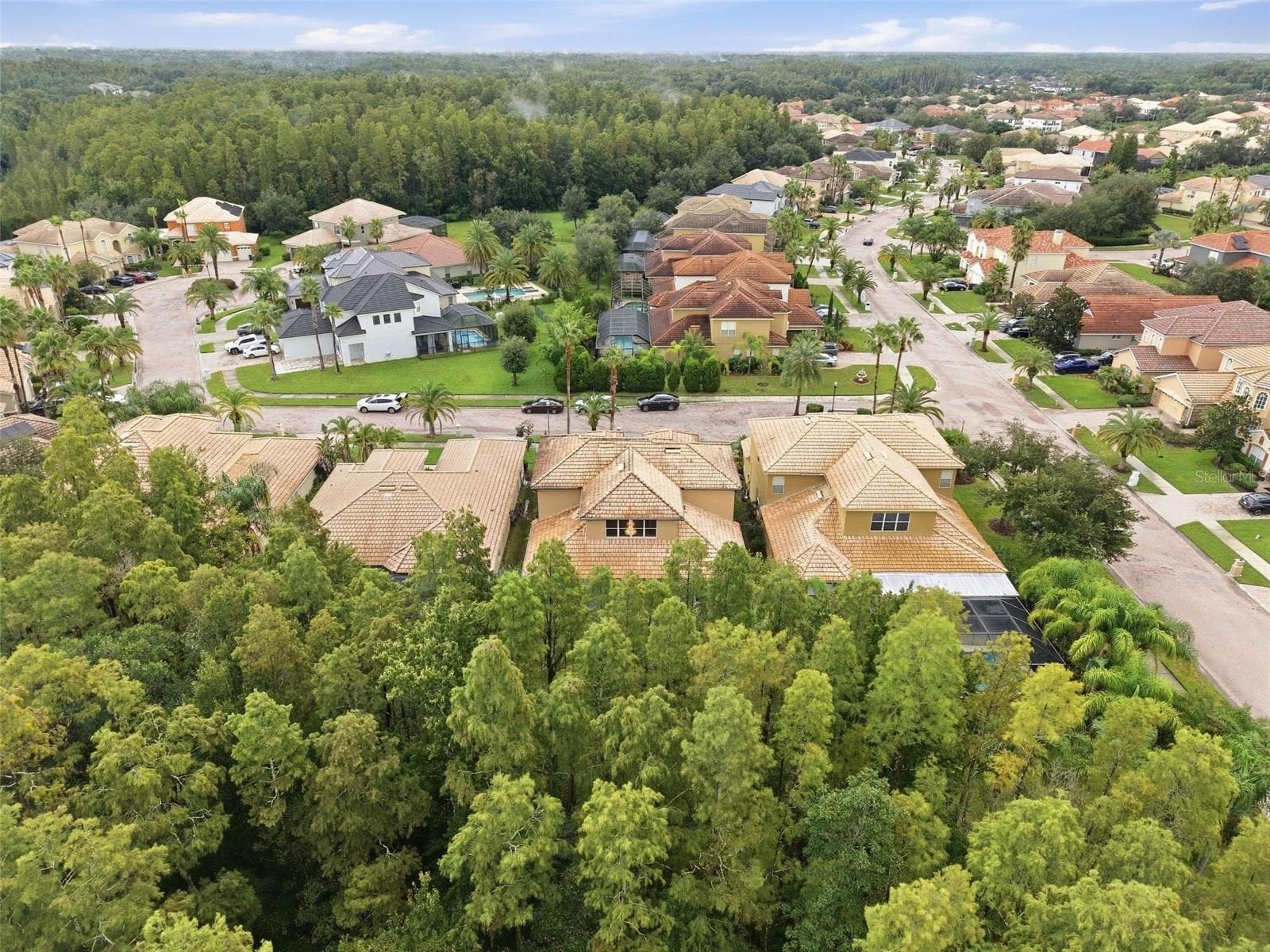 Single Family Residence at 18004 LANAI ISLE DR, TAMPA, photo 61 of 81