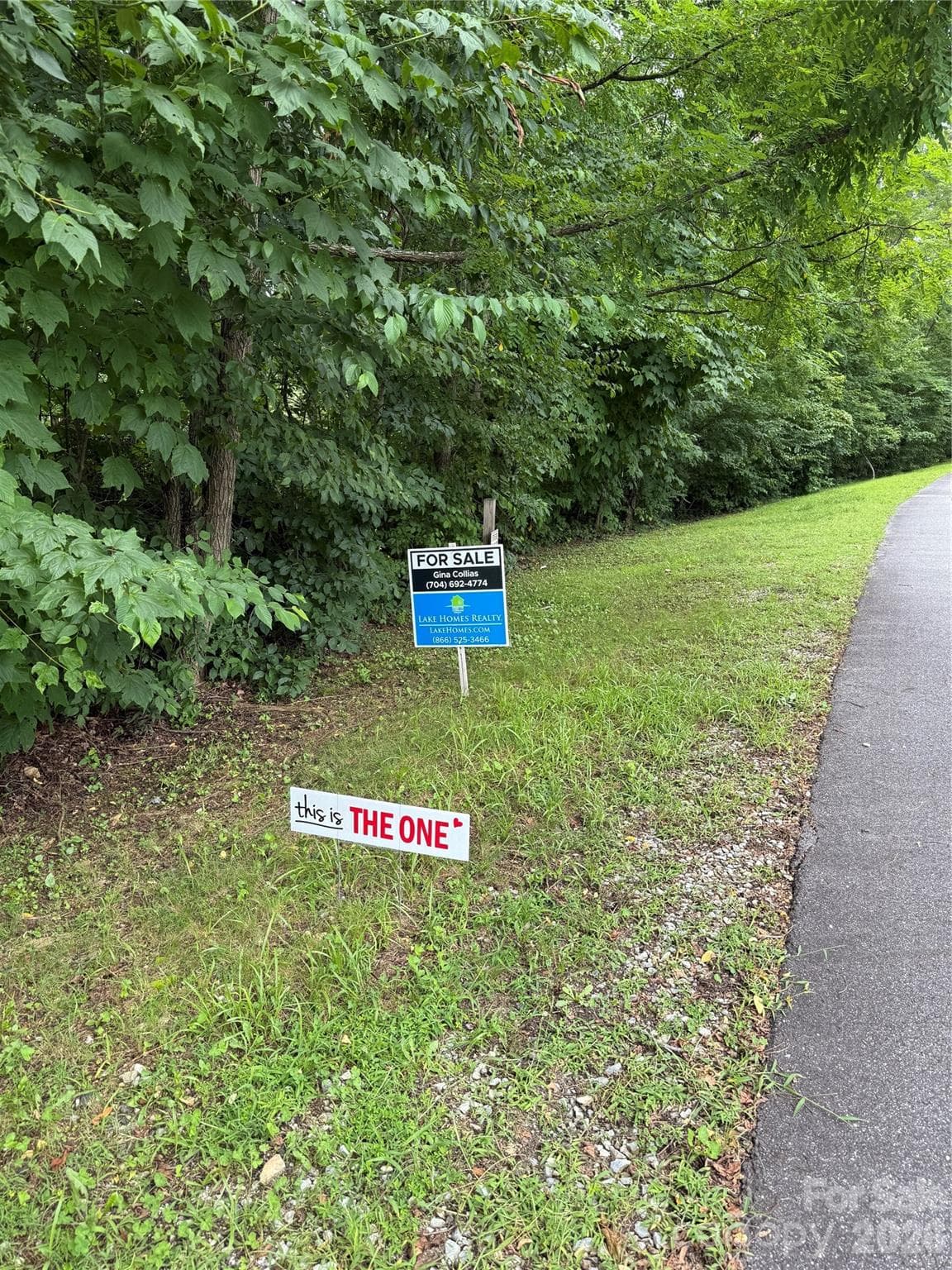 Lot at Lot #35 Damselfly Court, Spruce Pine, photo 3 of 11