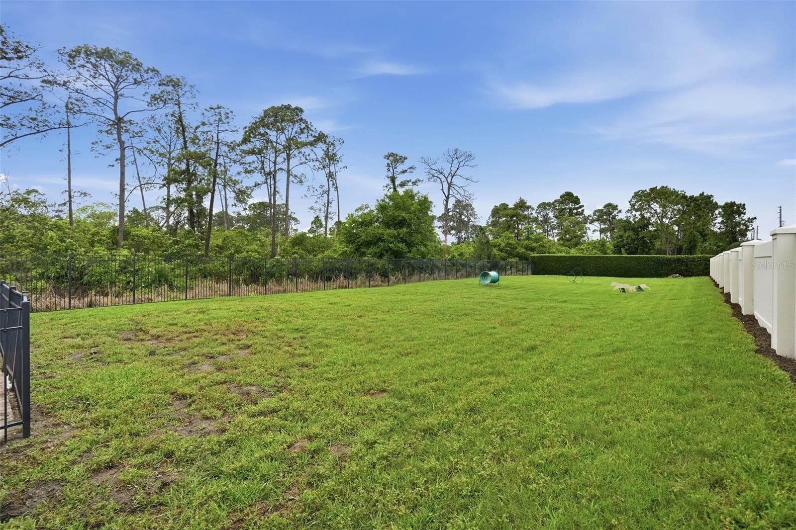 Single Family Residence at 10698 ROYAL CYPRESS WAY, ORLANDO, photo 39 of 42