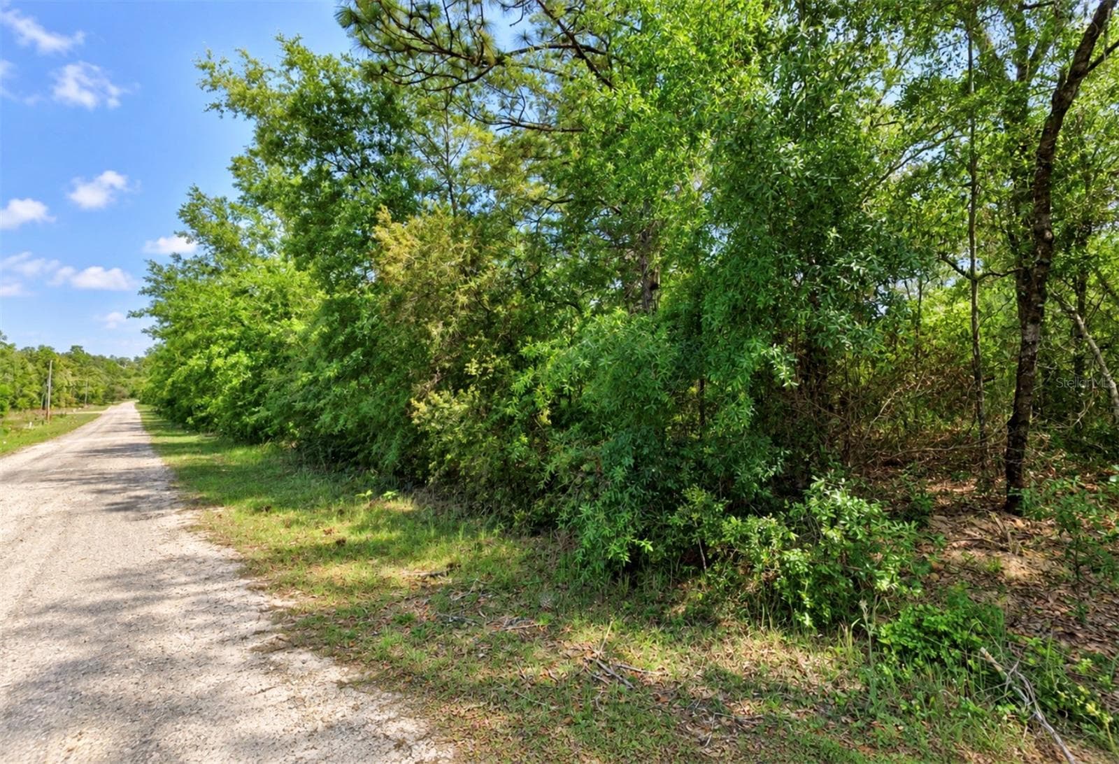 Land at 1602 W HIALEAH DR, CITRUS SPRINGS, photo 2 of 4