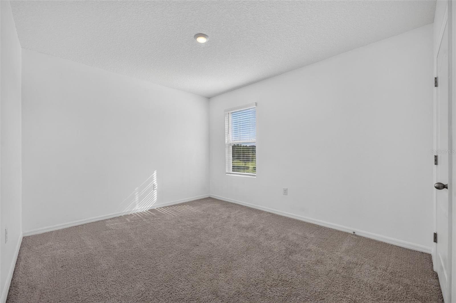 Single Family Residence at 3042 BETHPAGE LOOP, MOUNT DORA, photo 29 of 41