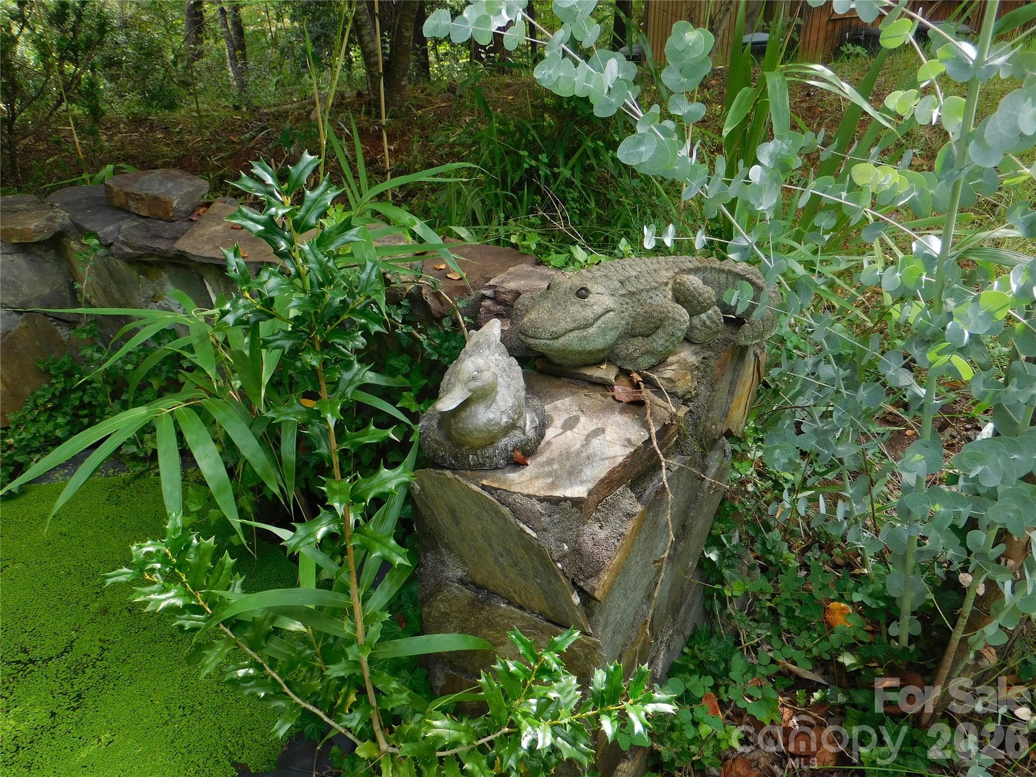 Small Pond - 296 Acorn Lane, Rutherfordton