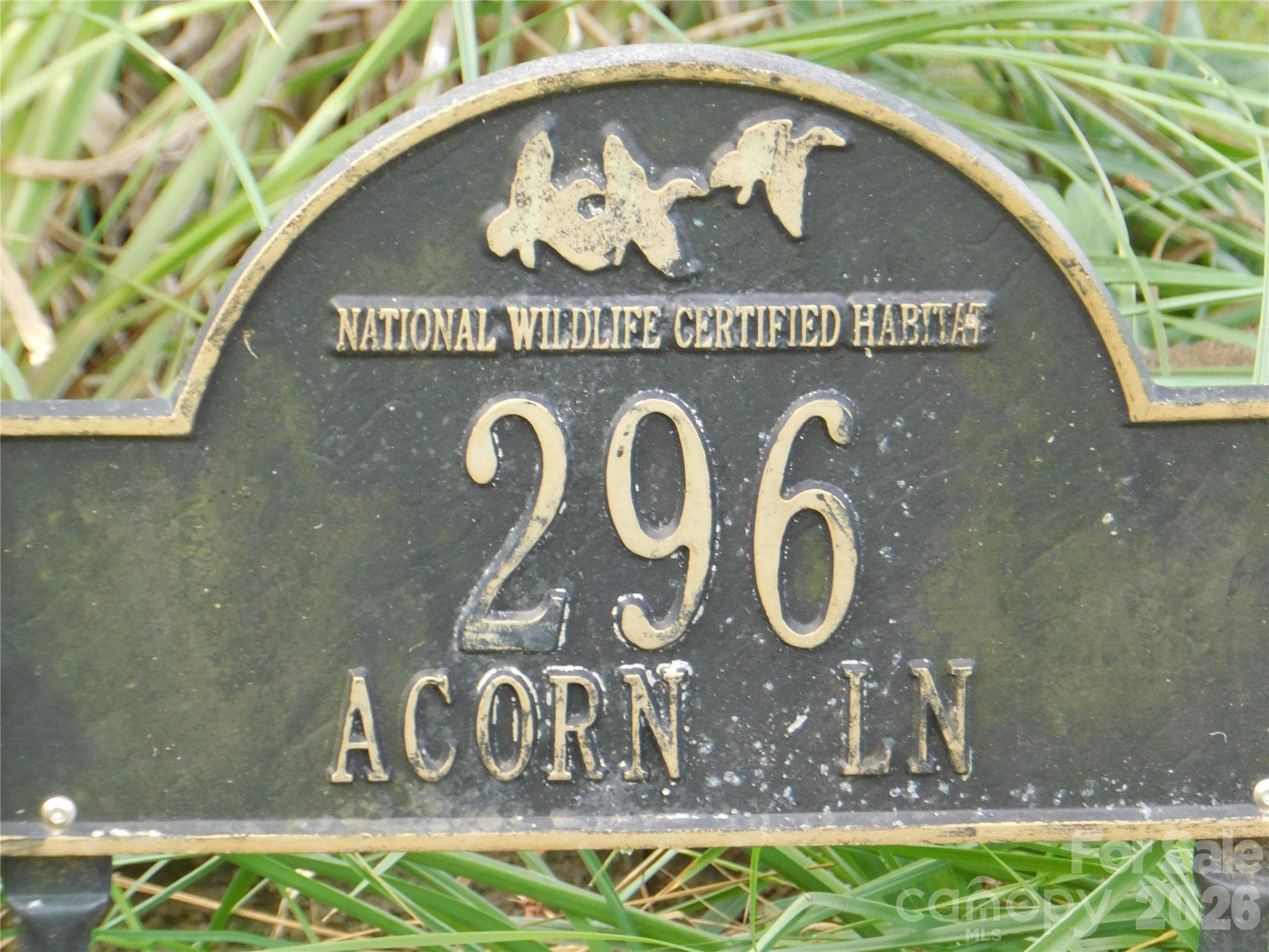 Natural Habitat - 296 Acorn Lane, Rutherfordton