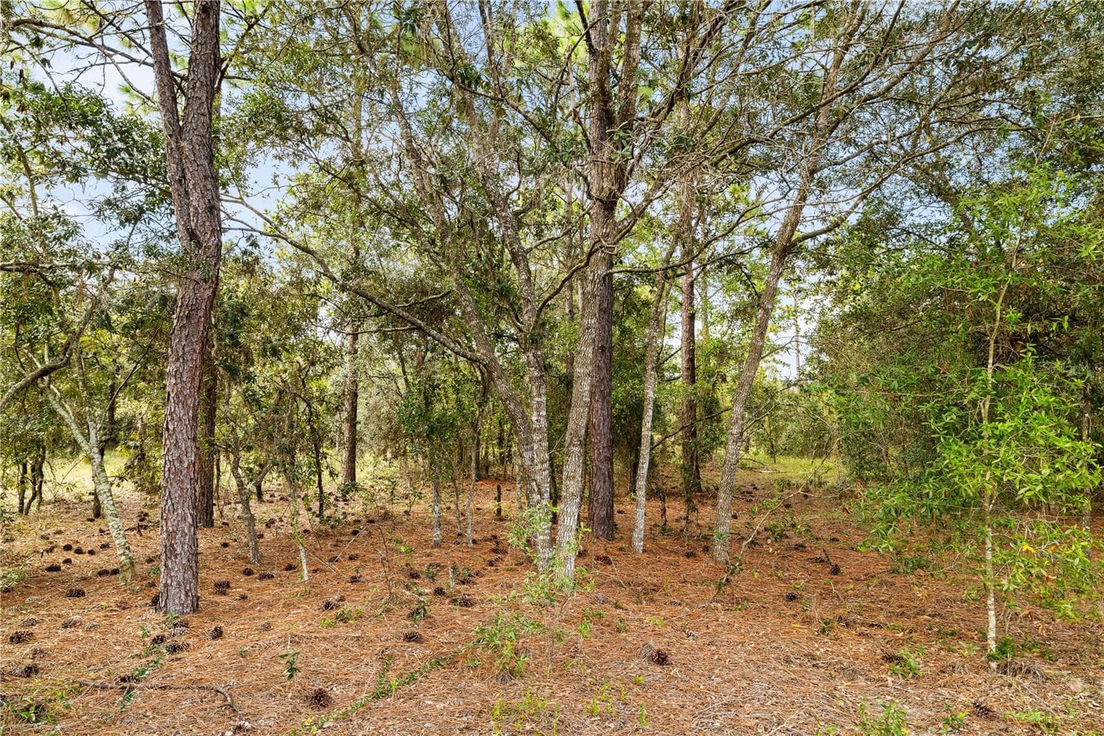 Single Family Residence at 21987 SW MANGO LN, DUNNELLON, photo 42 of 47
