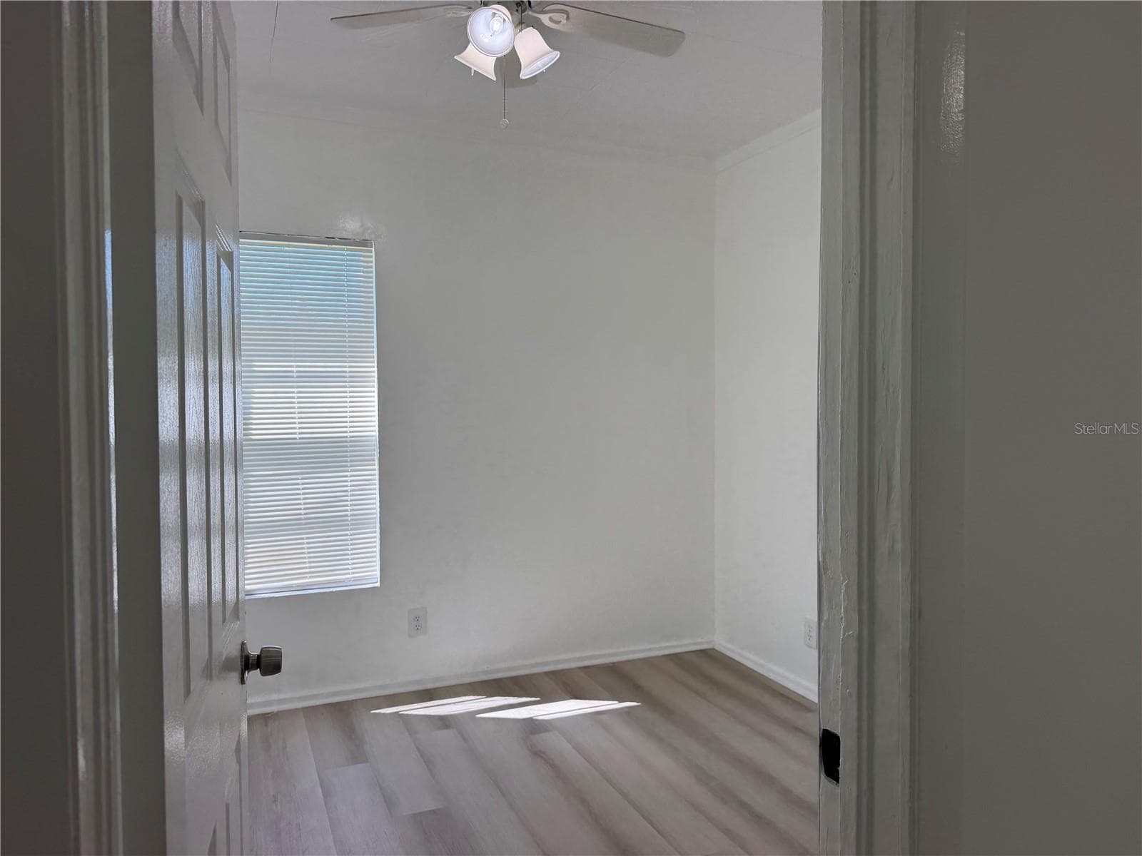 2nd Bedroom - 8316 N KLONDYKE ST, TAMPA