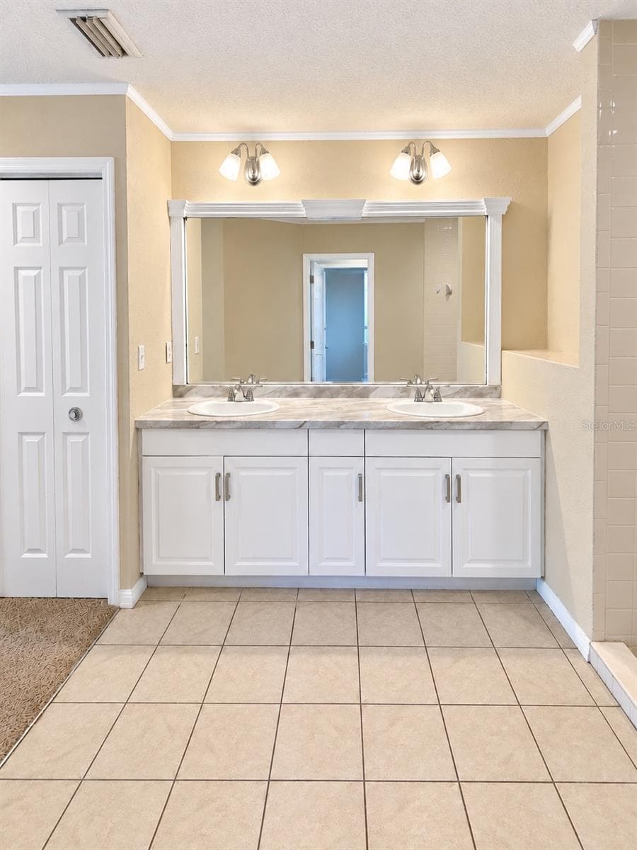 Master Bathroom - 1912 ELK SPRING DR, BRANDON