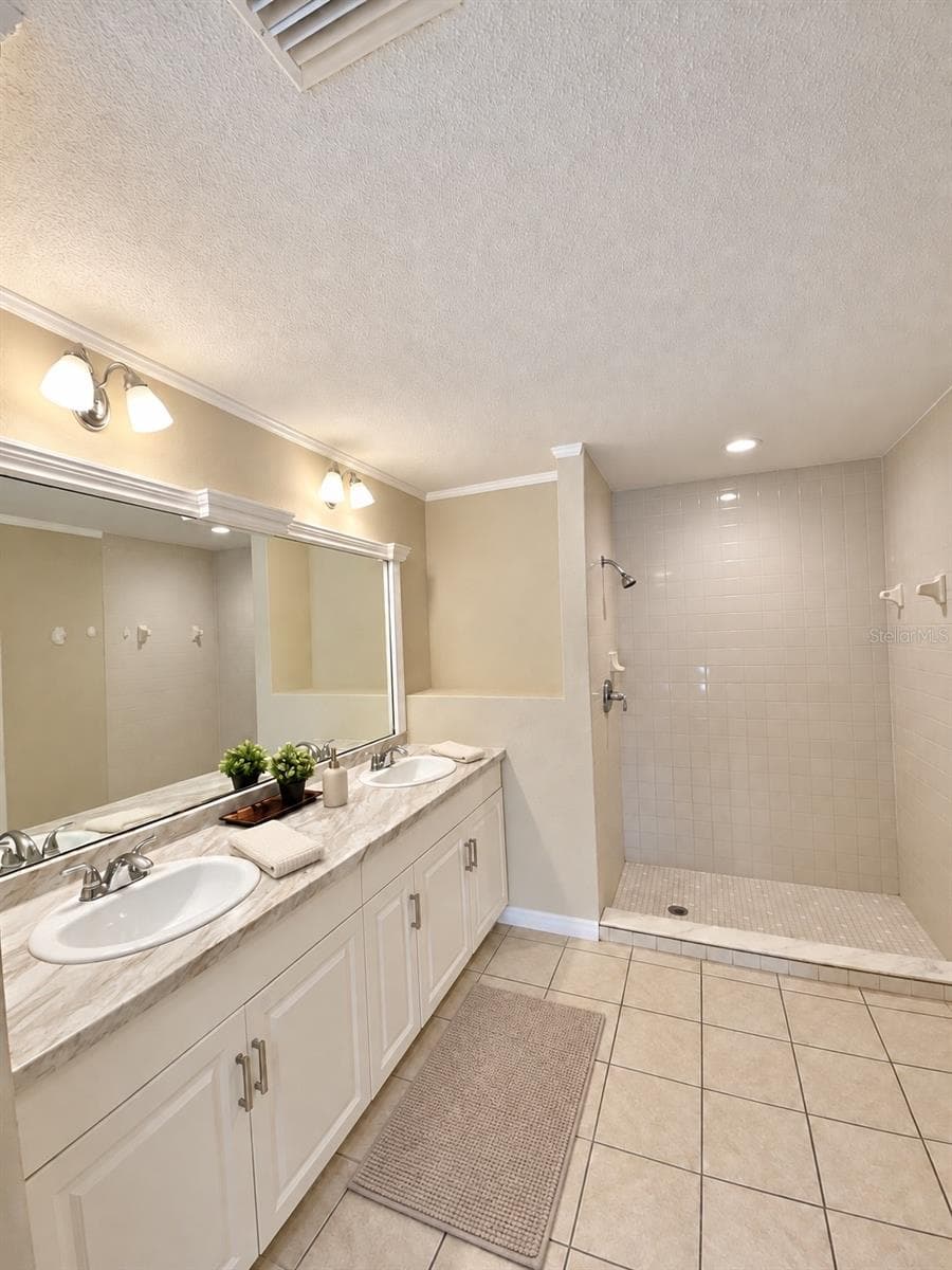 Master Bathroom - 1912 ELK SPRING DR, BRANDON