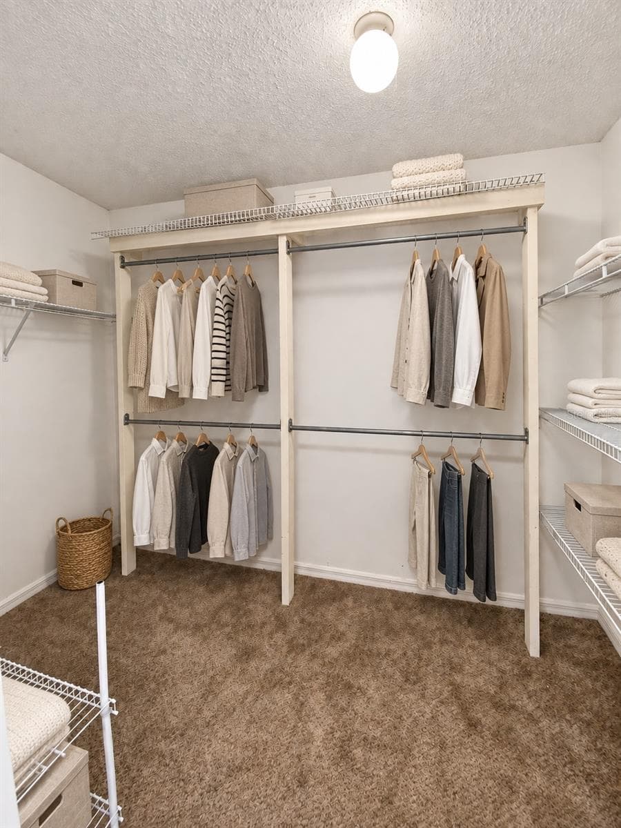 Staged Master Closet - 1912 ELK SPRING DR, BRANDON
