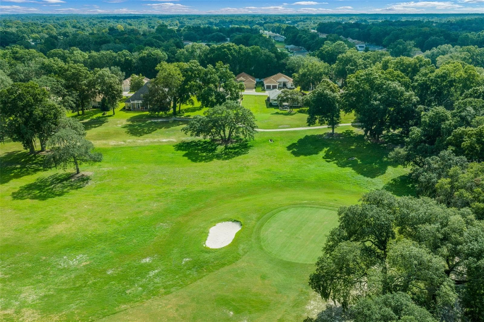 GOLF COURSE AERIAL - 11009 SW 71 CIR, OCALA