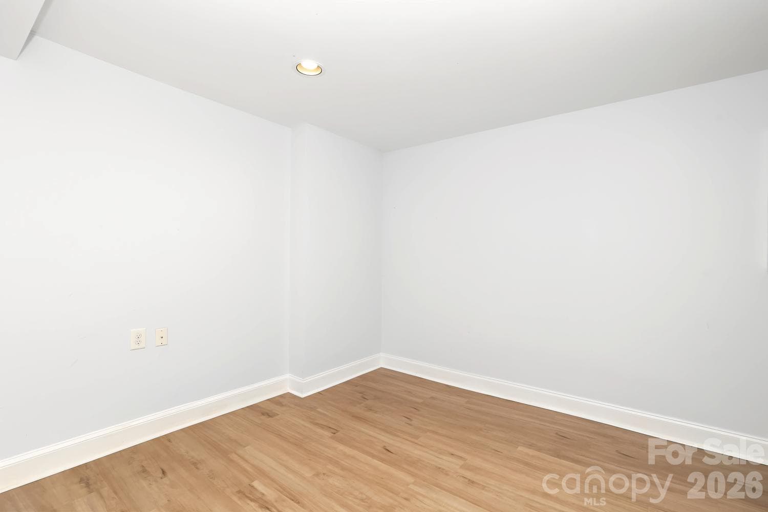 Flex Room in basement - 524 Cooper Drive, Charlotte