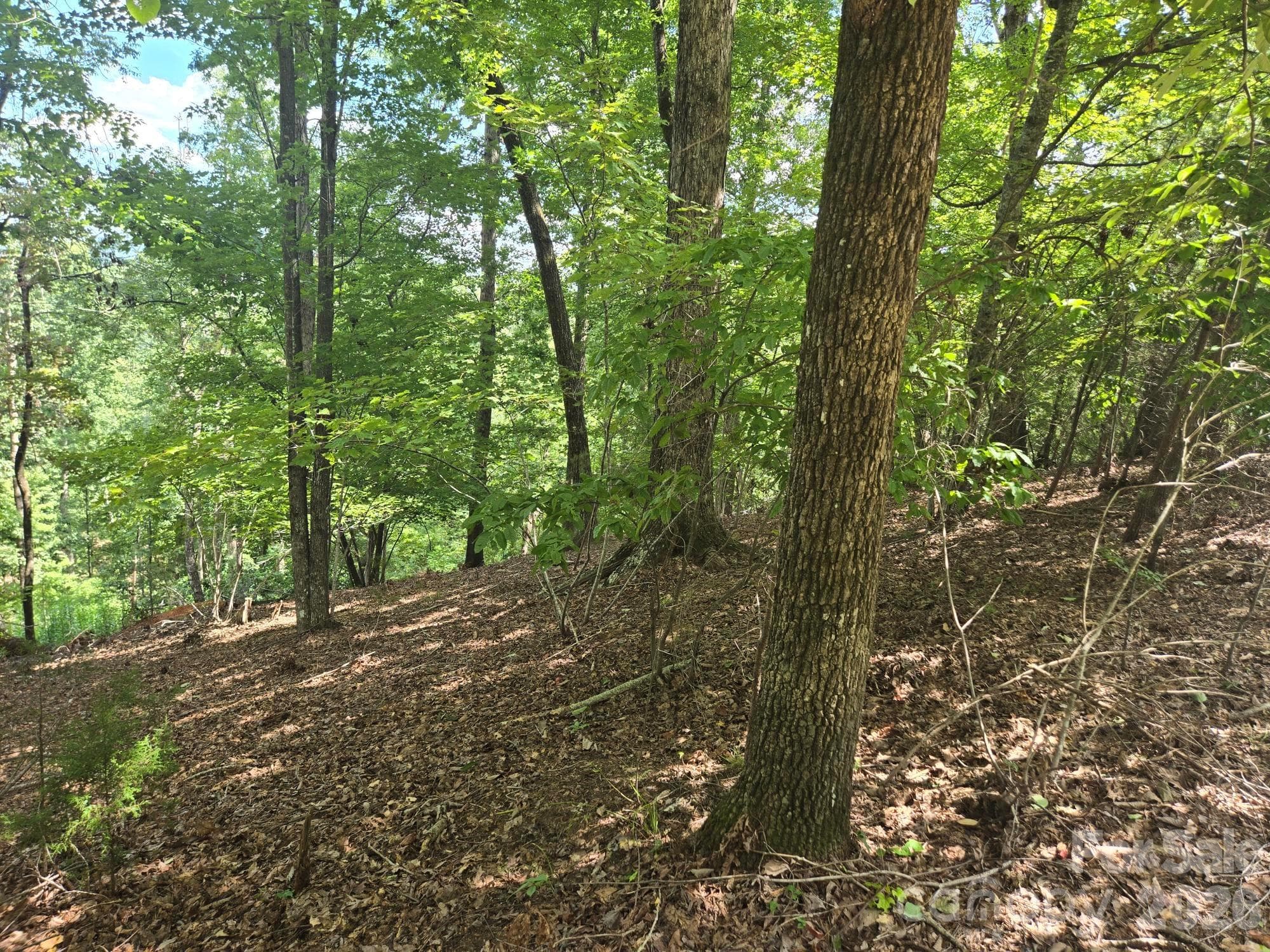 Lot at Lake Lure, photo 8 of 37