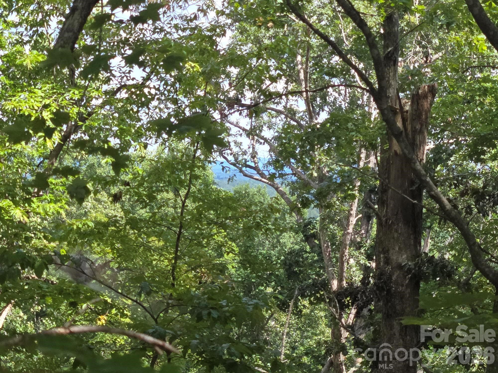 Lot at Lake Lure, photo 10 of 37