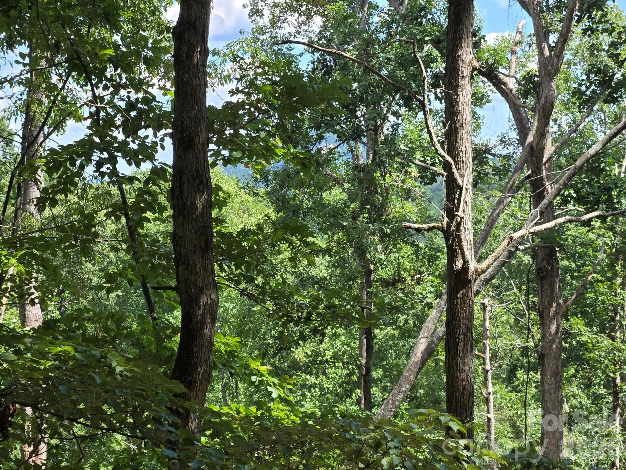 Lot at Lake Lure, photo 12 of 37
