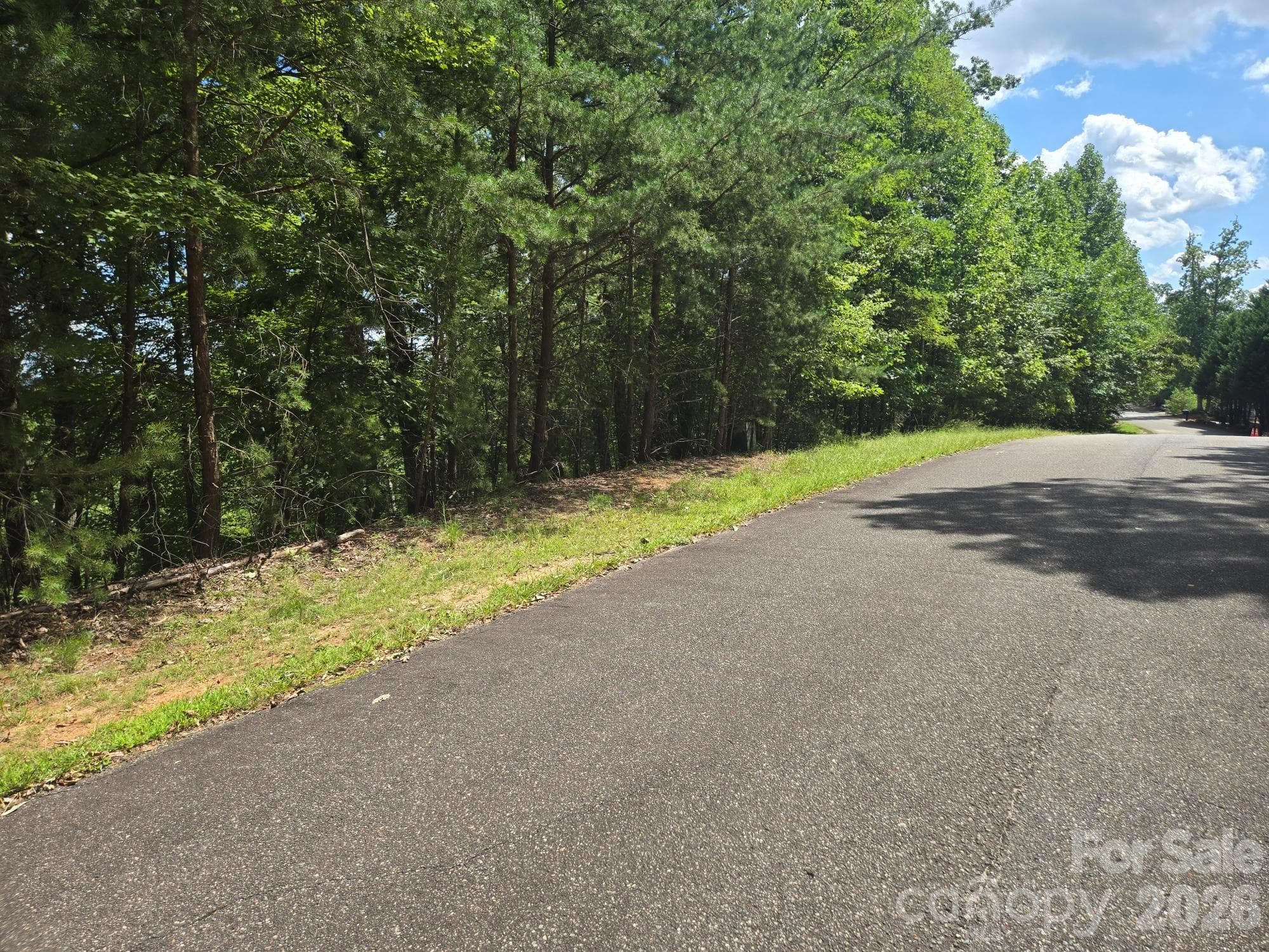 Lot at Lake Lure, photo 14 of 37
