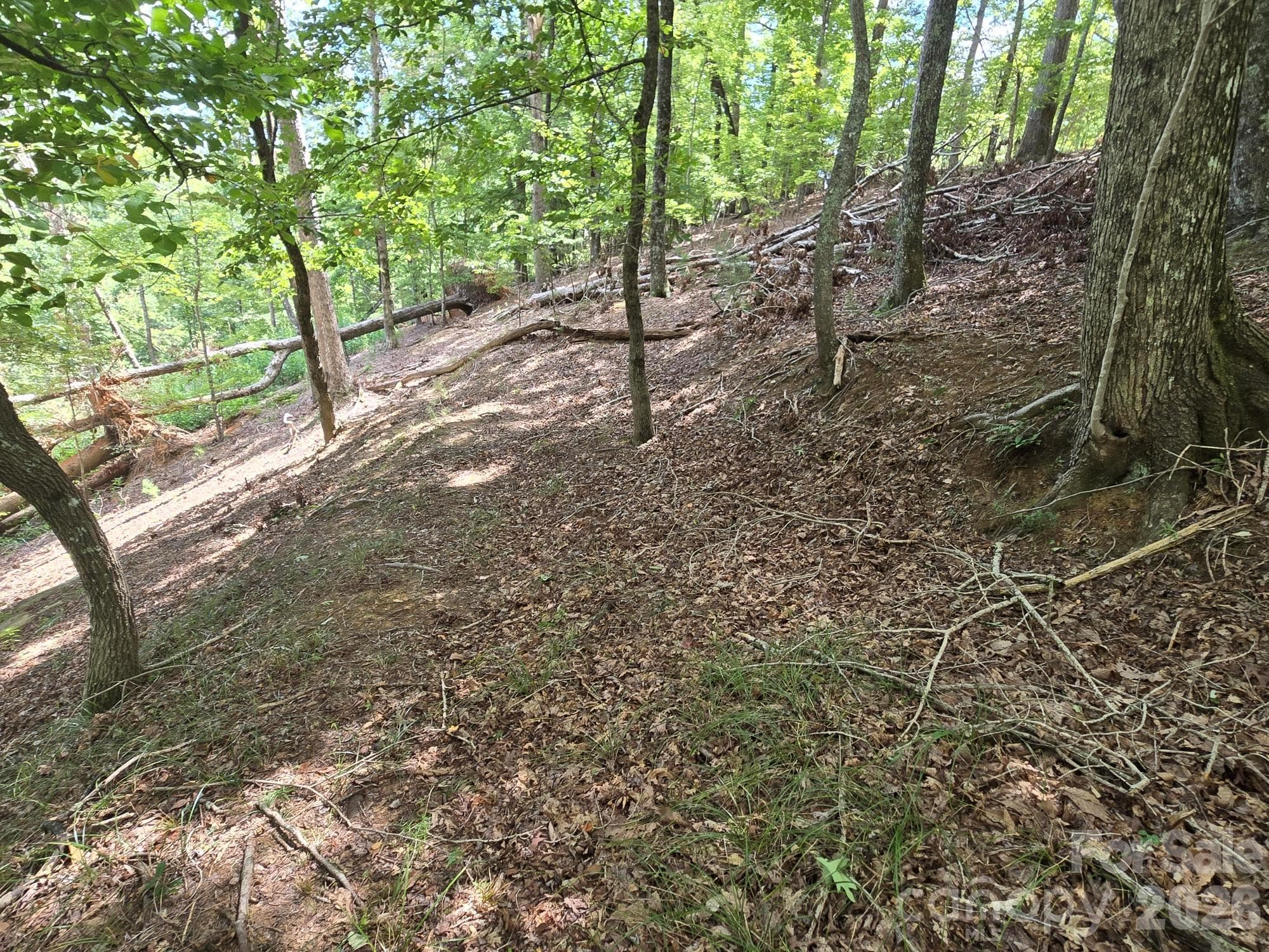 Lot at Lake Lure, photo 16 of 37