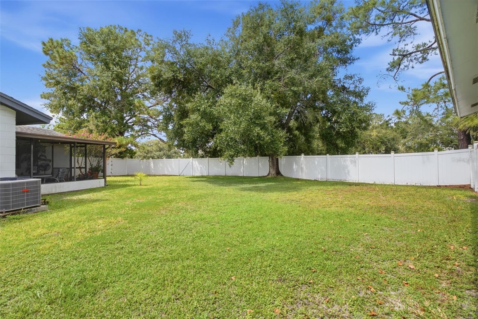 Privacy fenced yard - 10816 FAIRFIELD VILLAGE DR, TAMPA