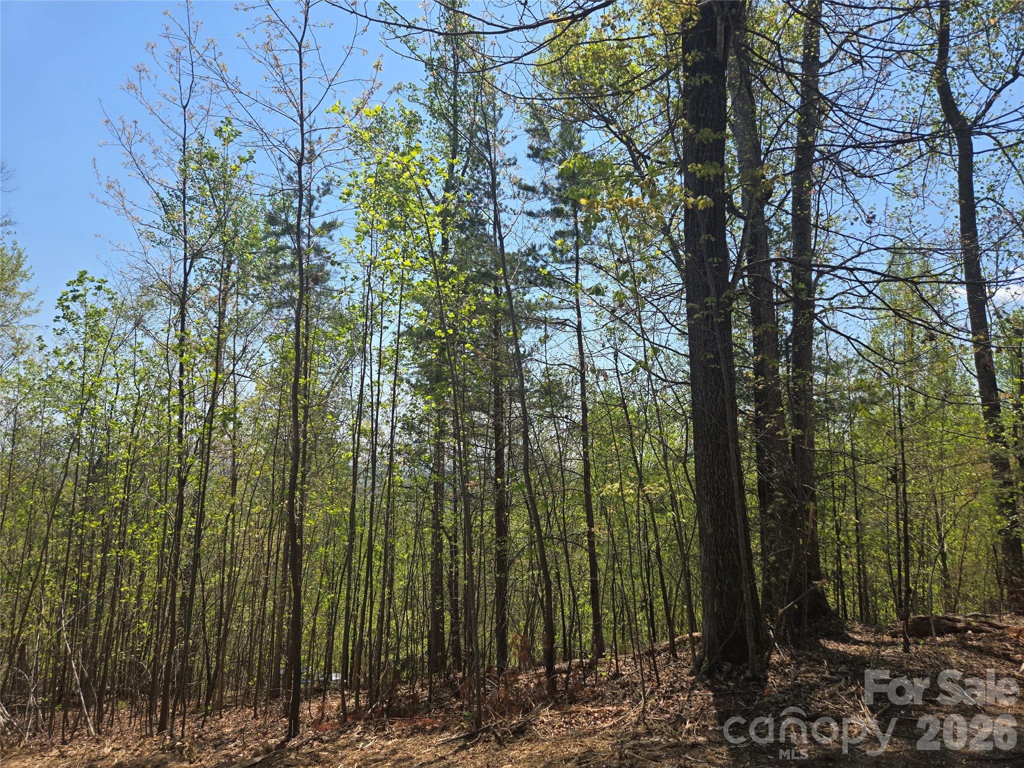 Lot at Lake Lure, photo 4 of 49