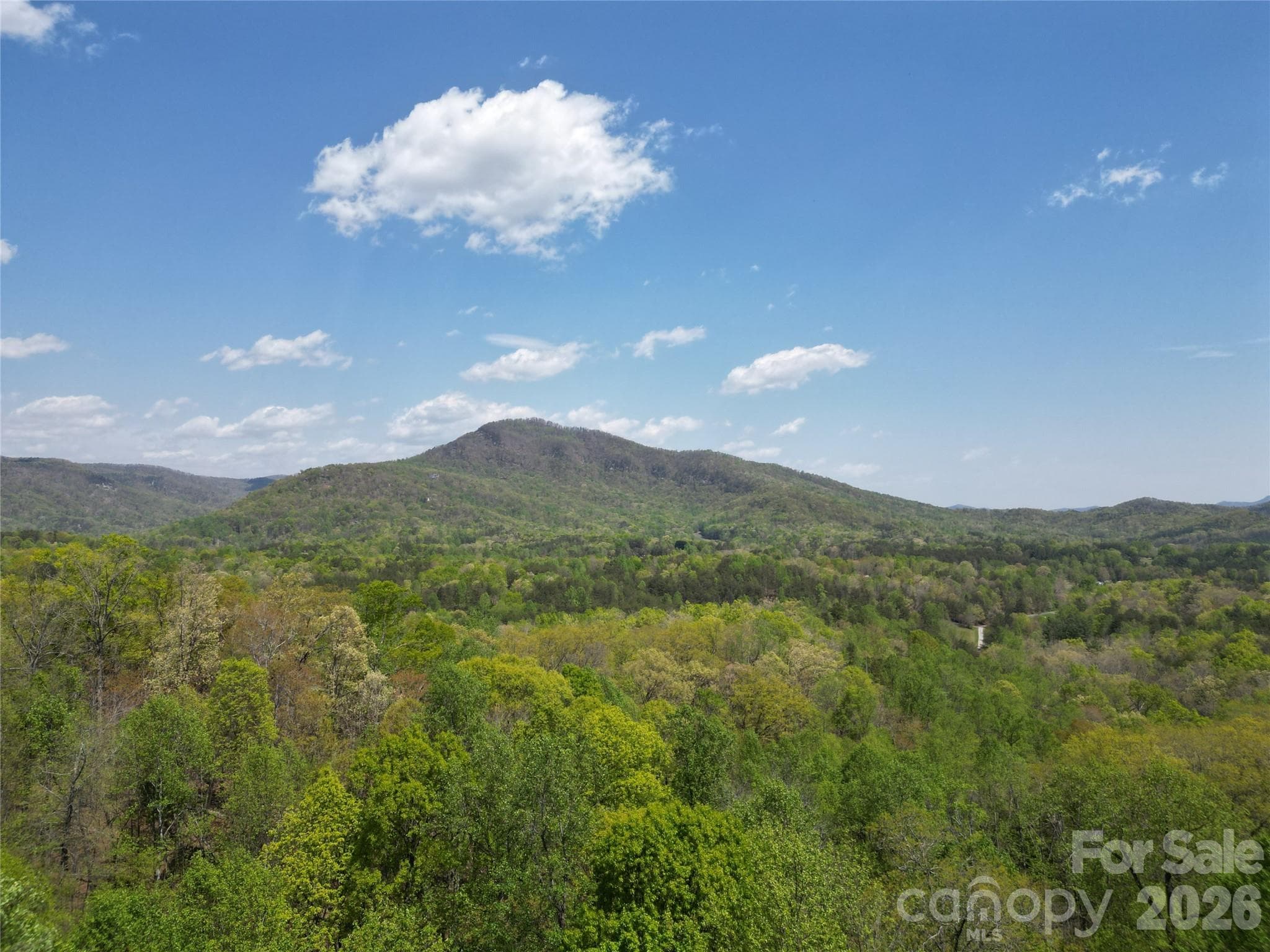 Lot at Lake Lure, photo 6 of 49