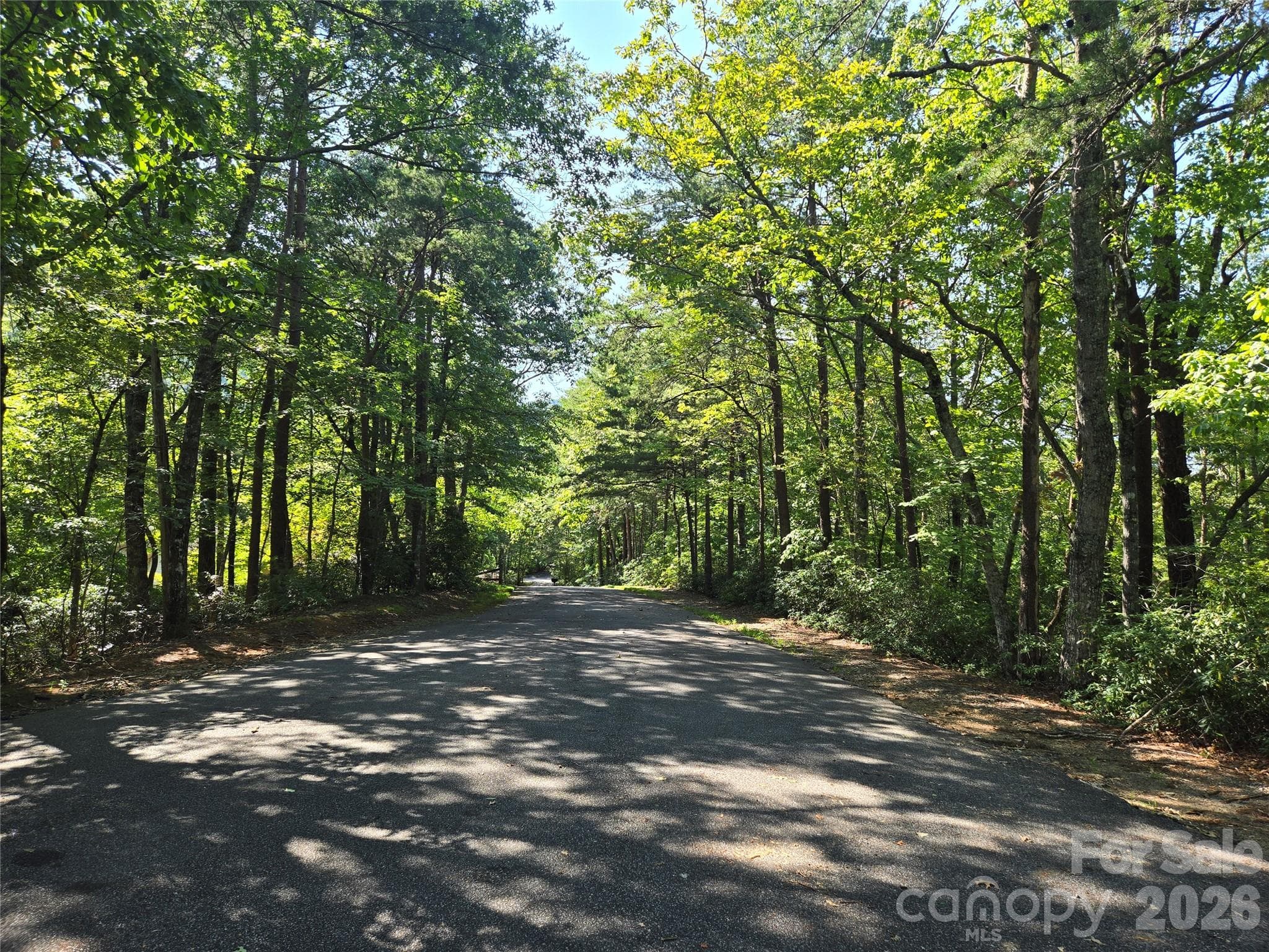 Lot at Lake Lure, photo 4 of 43