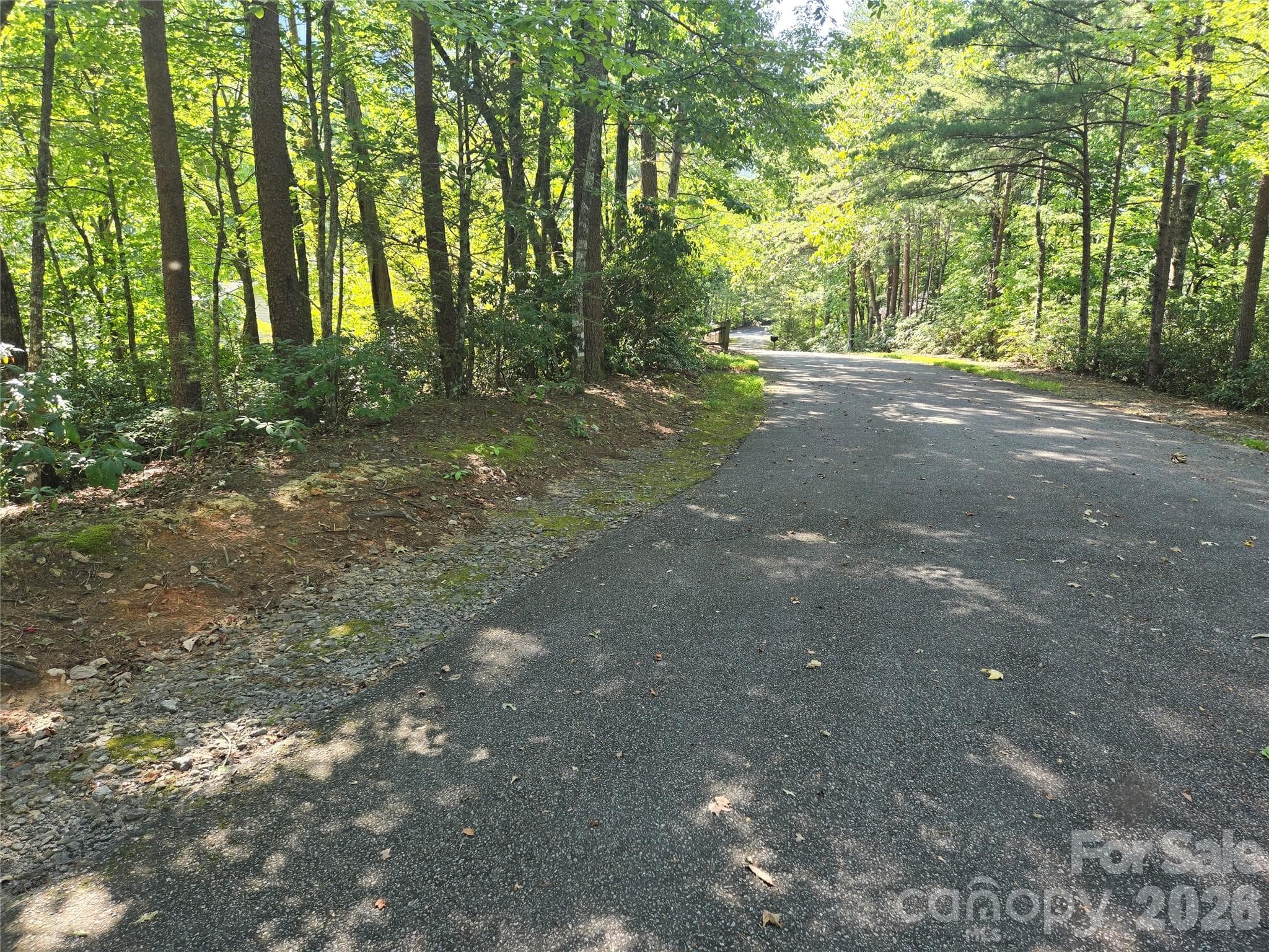 Lot at Lake Lure, photo 8 of 43