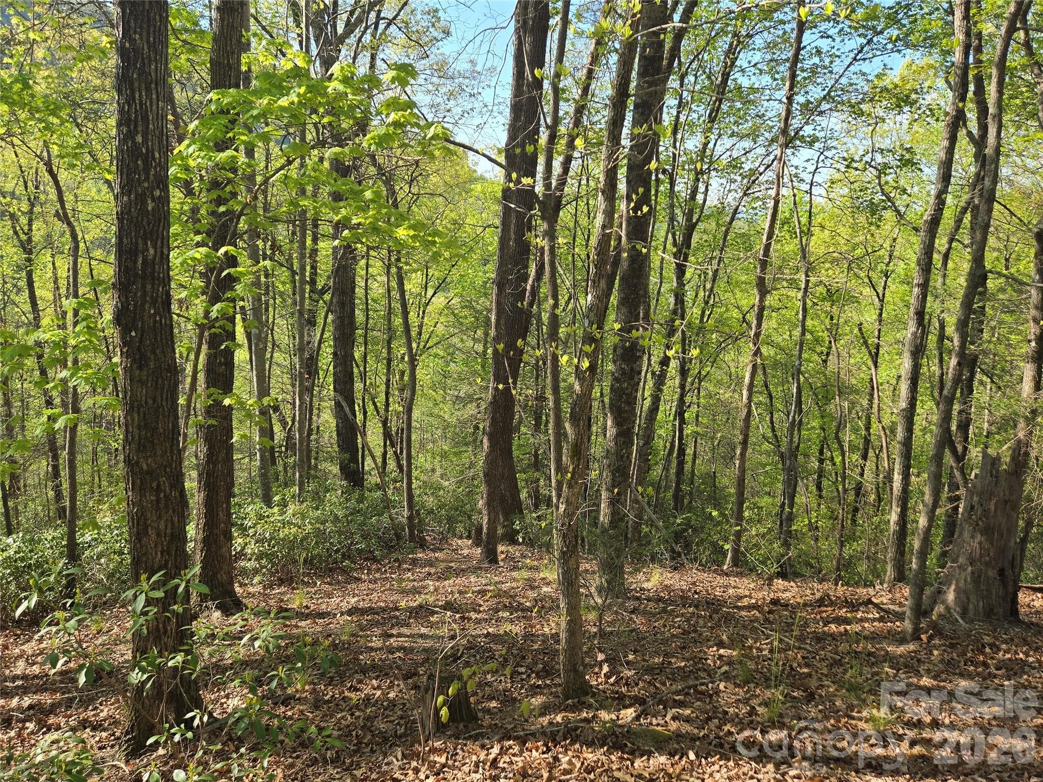 Lot at Lake Lure, photo 4 of 45