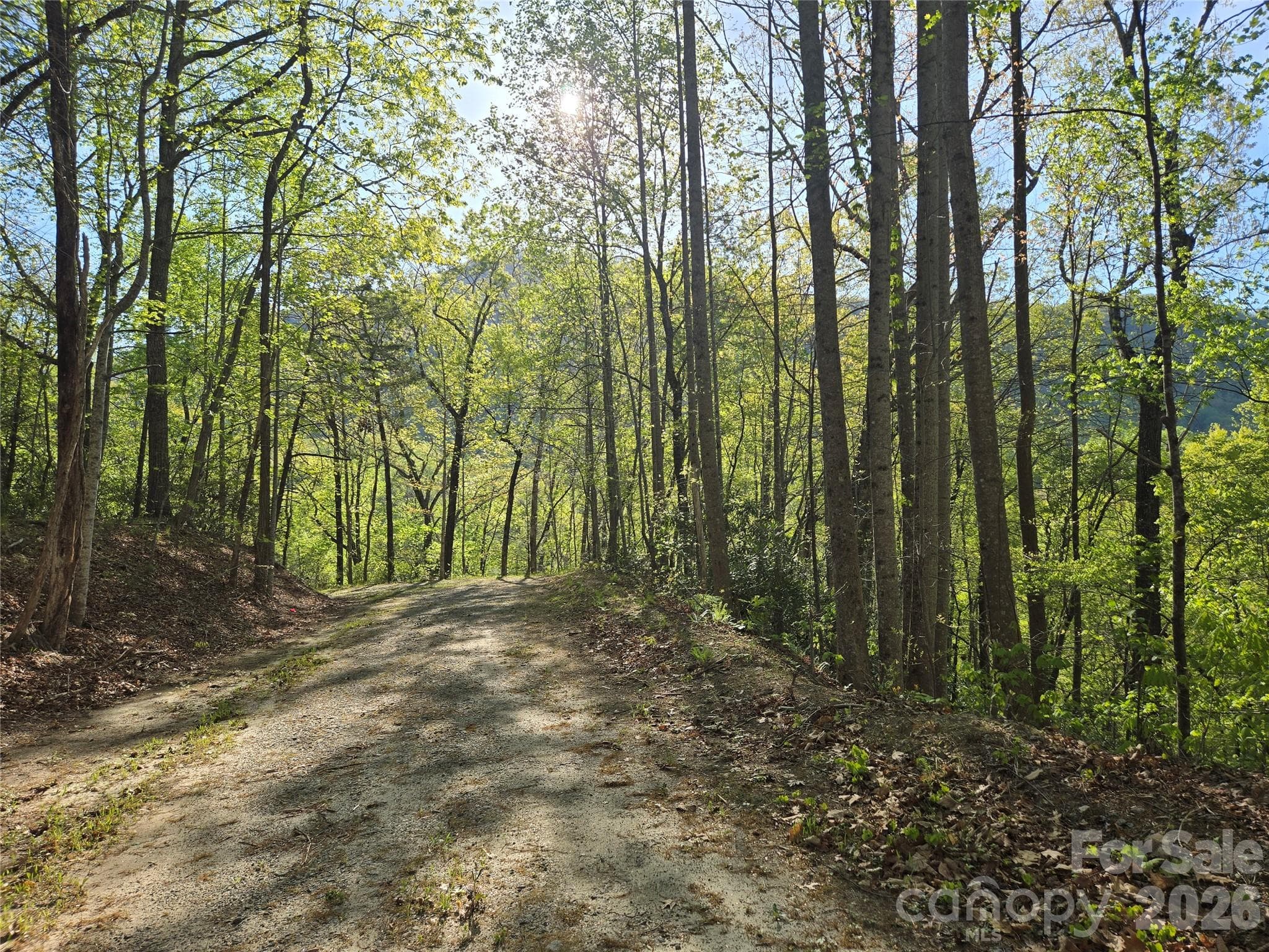 Lot at Lake Lure, photo 8 of 45