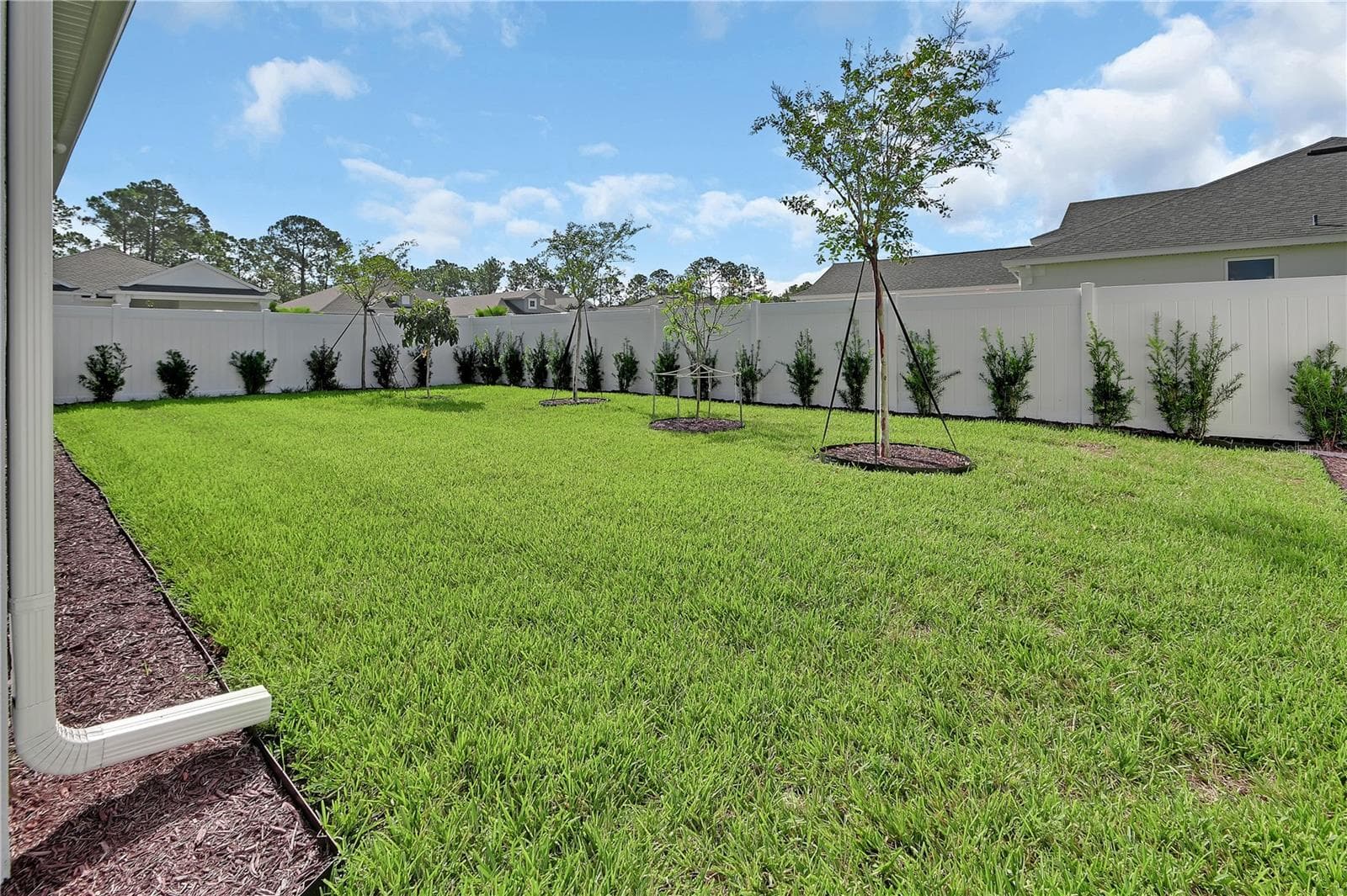 Extra landscaping, fruit trees and crepe myrtles - 1022 MEGANO BLVD, DELAND