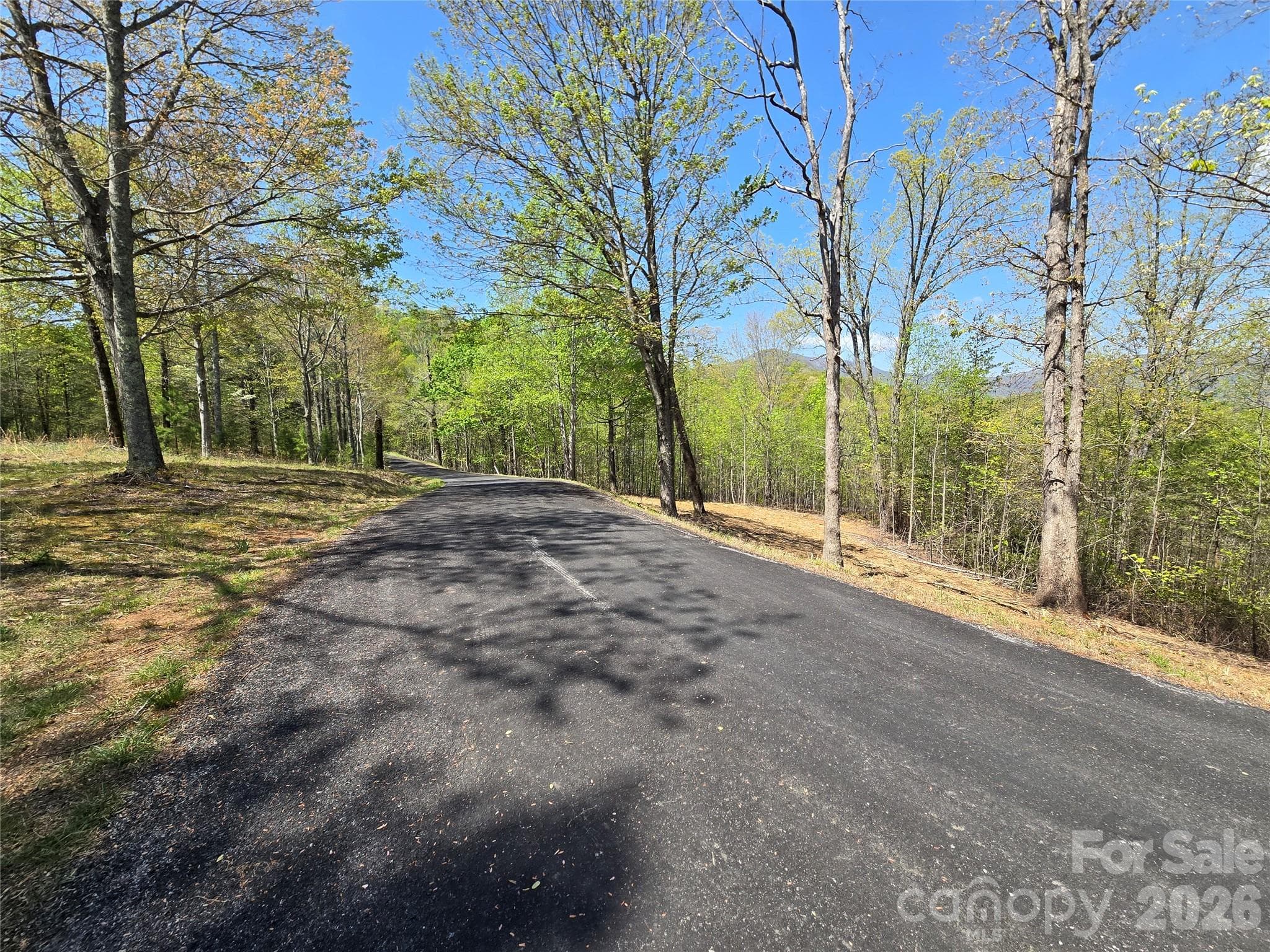 Lot at Lake Lure, photo 6 of 44