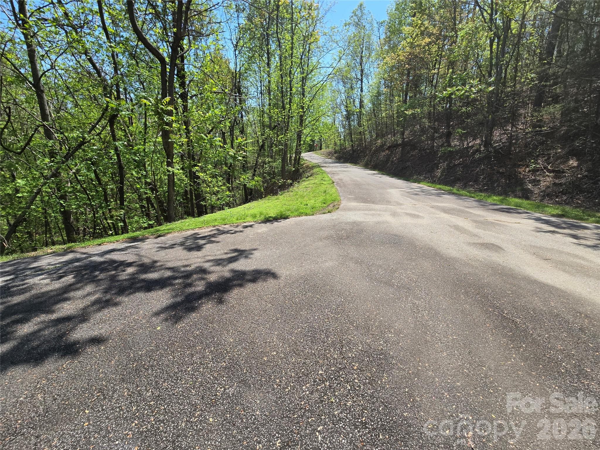 Lot at Lake Lure, photo 8 of 42