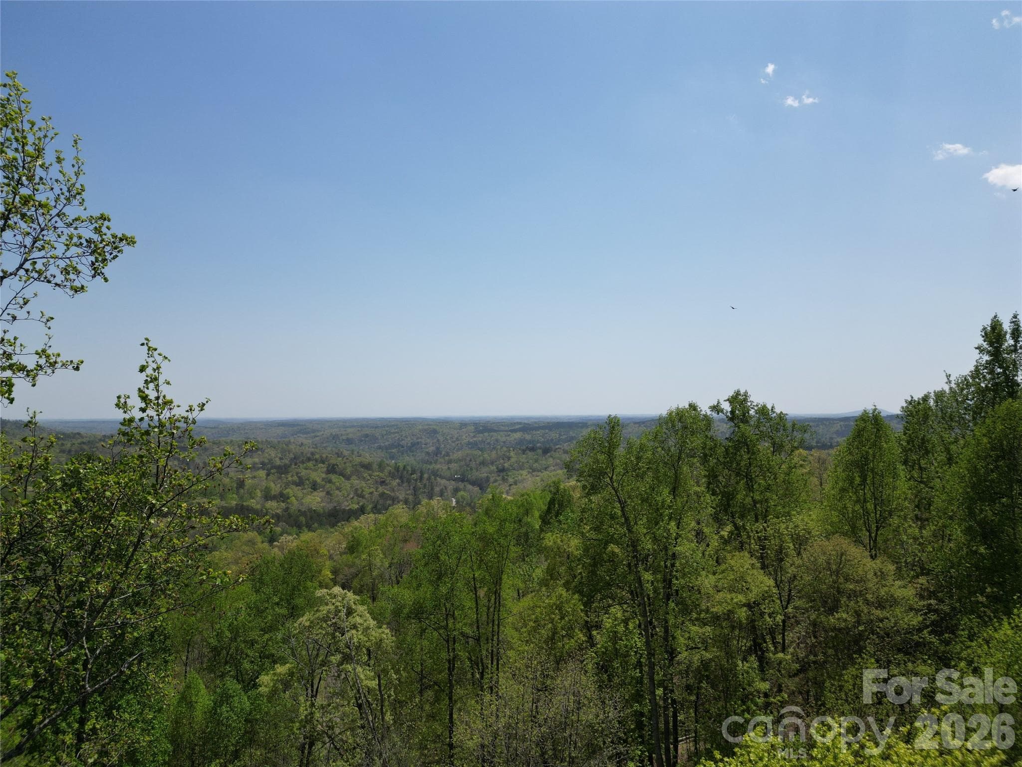 Lot at Lake Lure, photo 4 of 47