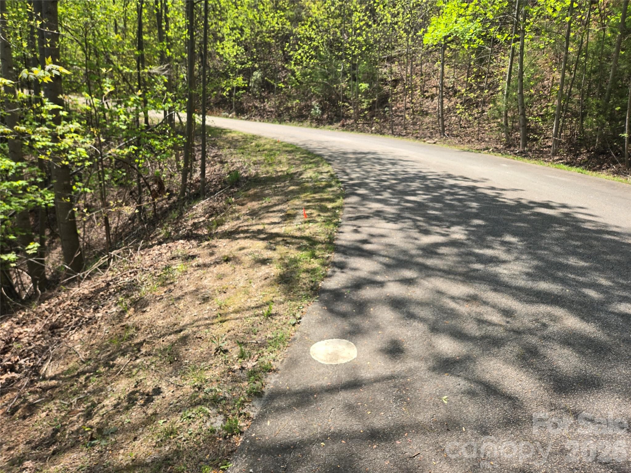 Lot at Lake Lure, photo 8 of 47