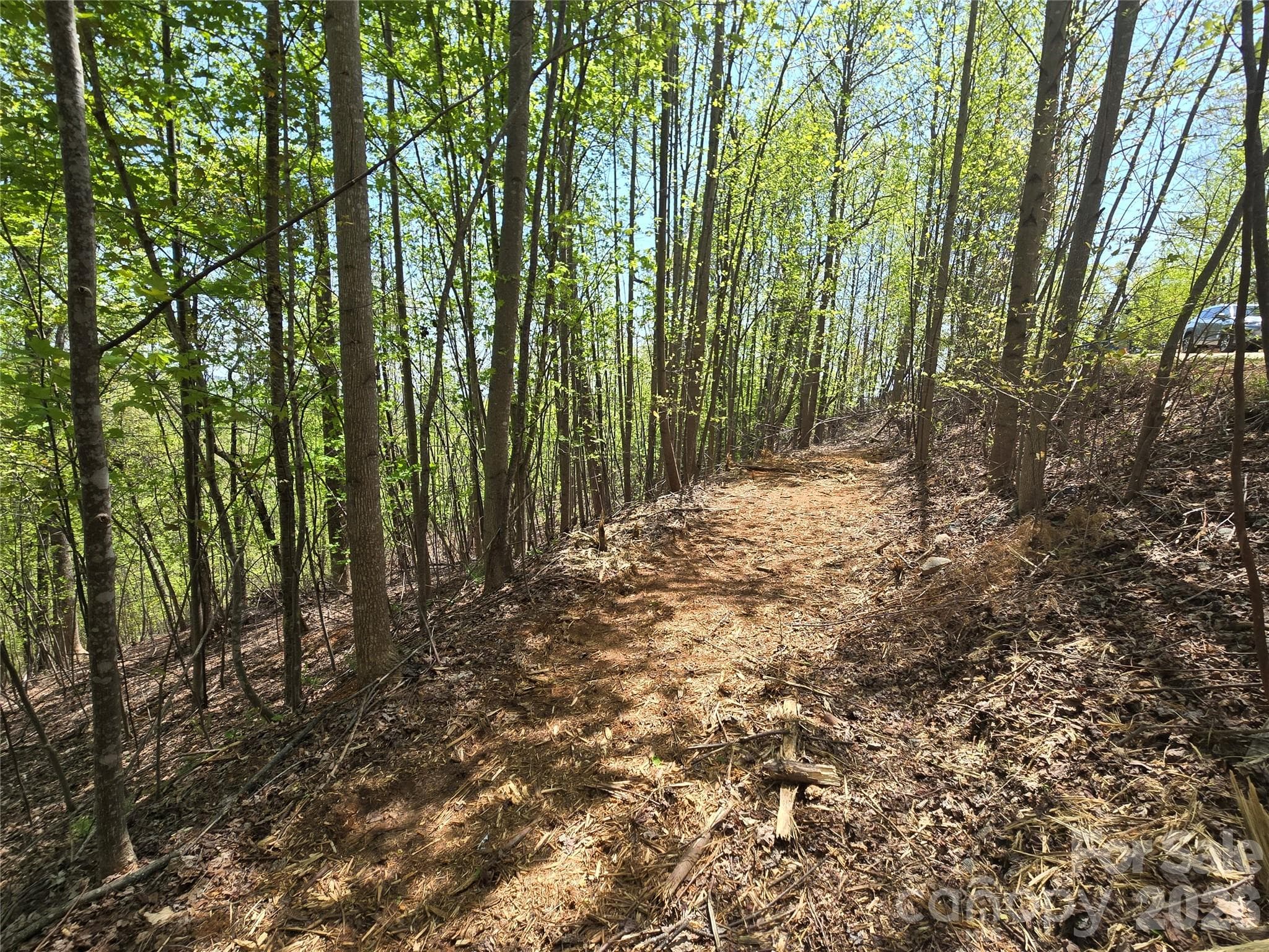 Lot at Lake Lure, photo 6 of 44