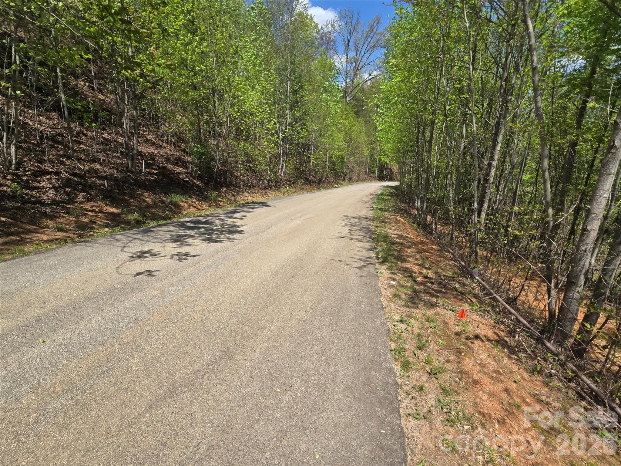 Lot at Lake Lure, photo 8 of 44