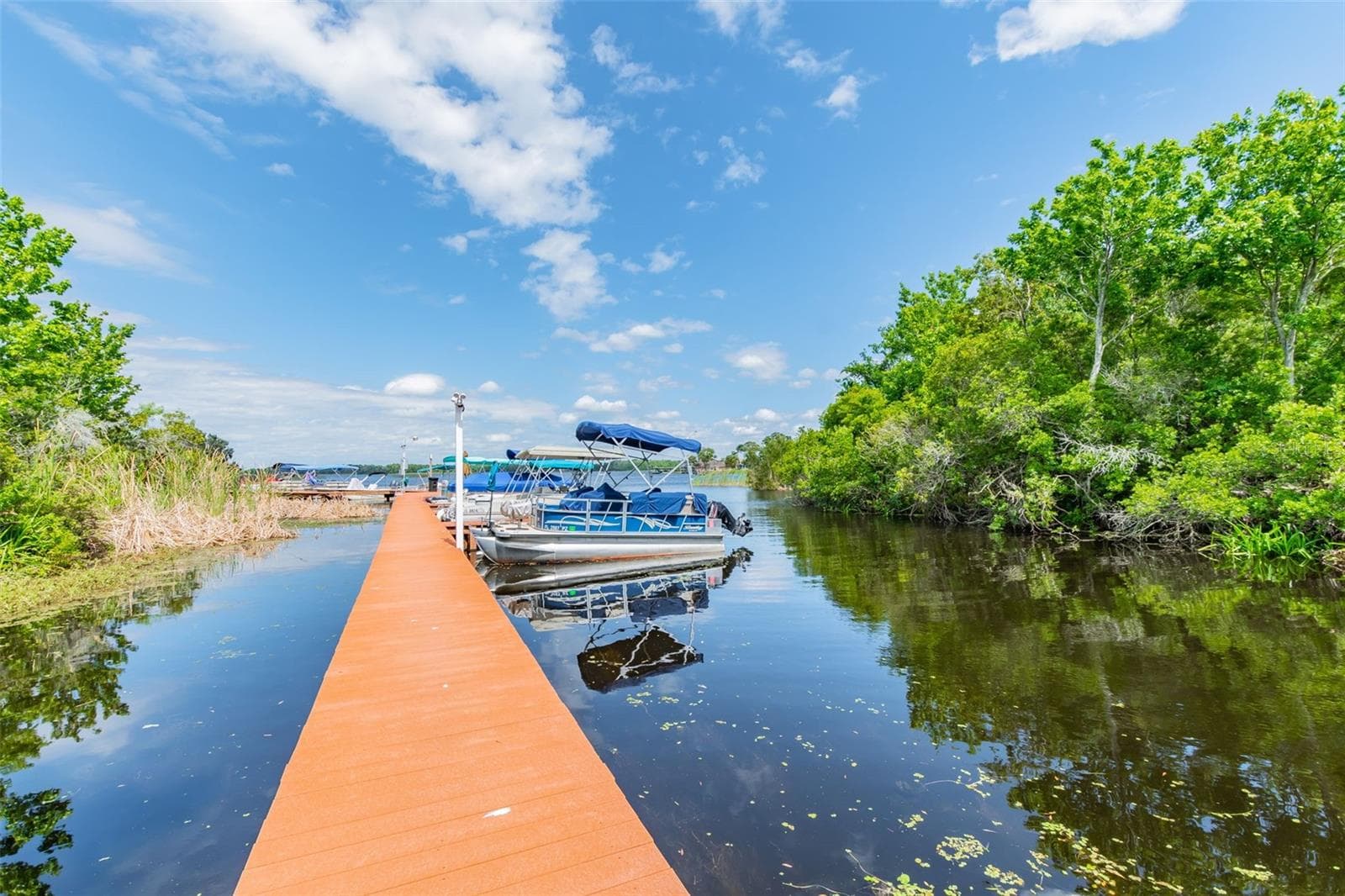 Condominium at 2599 DOLLY BAY DR #302, PALM HARBOR, photo 27 of 32