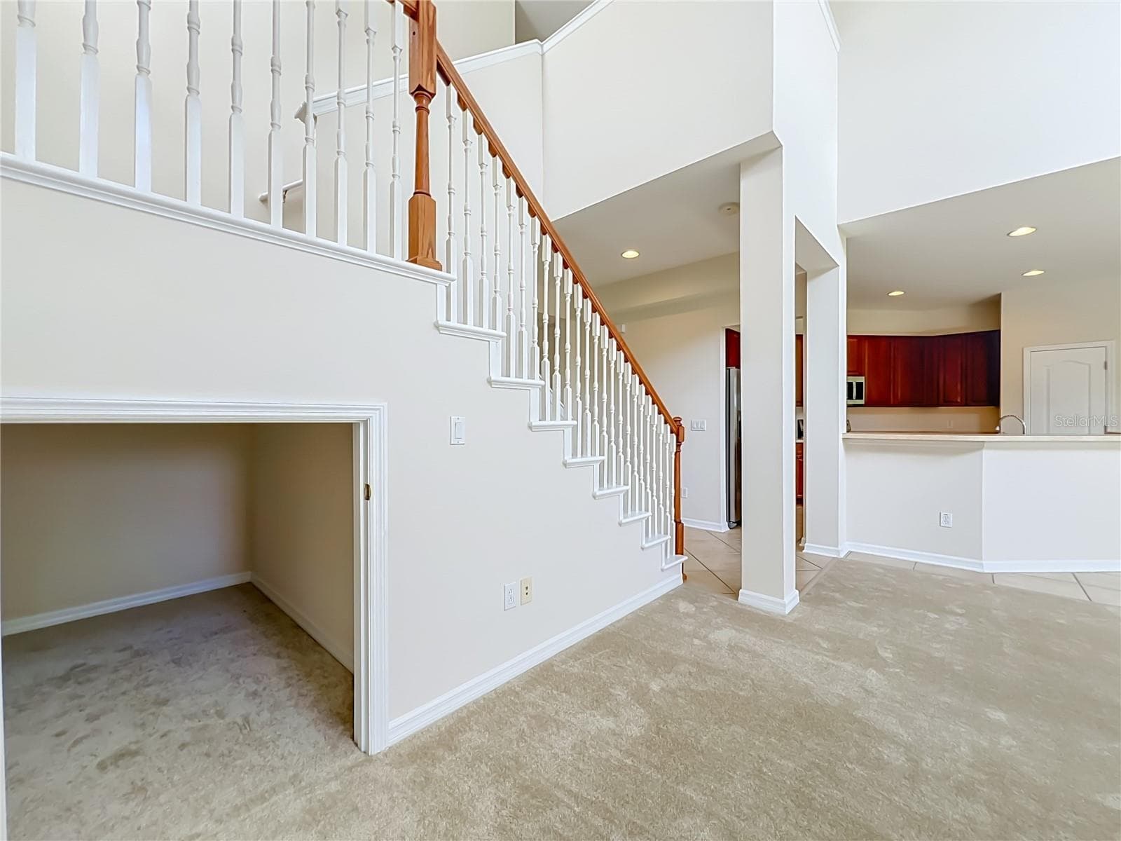 Under stair storage - 12809 HOLDENBURY LN, WINDERMERE