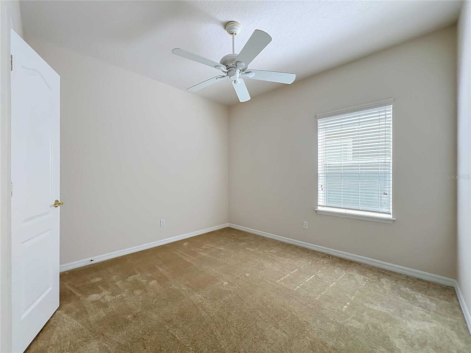 Bedroom 2 - 12809 HOLDENBURY LN, WINDERMERE