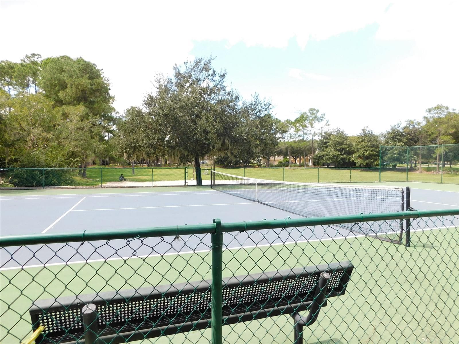 Tennis courts and Beach volleyball  plus recreation area - 12809 HOLDENBURY LN, WINDERMERE
