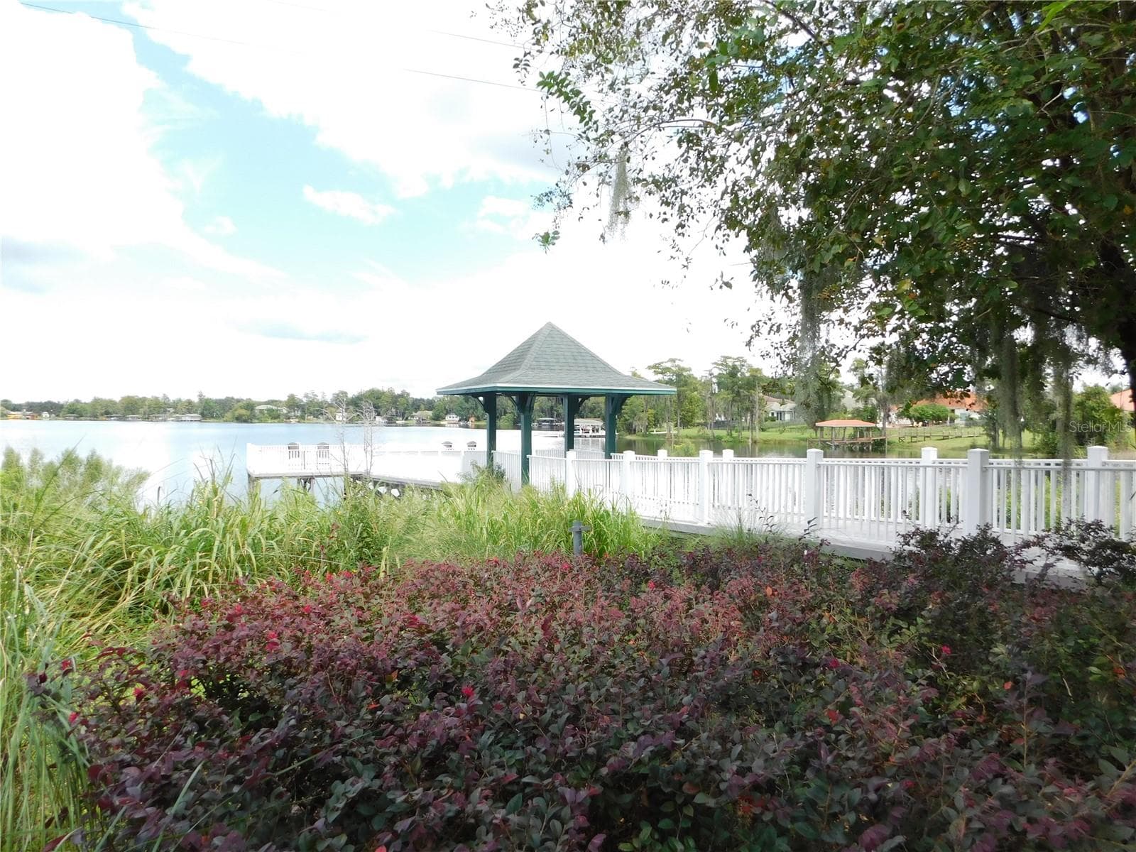 Fishing pier on a beautiful community lake with conservation - 12809 HOLDENBURY LN, WINDERMERE